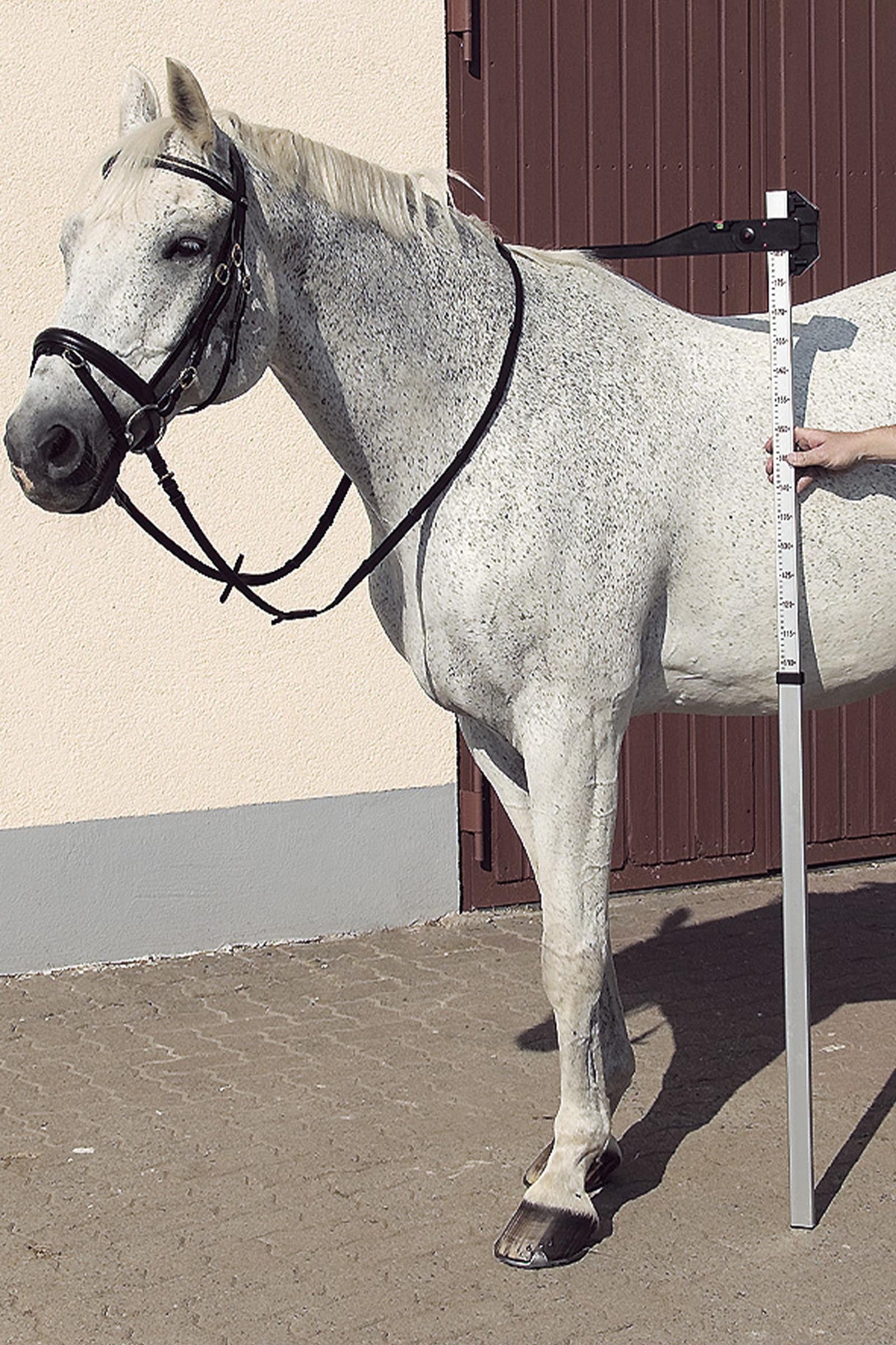 USG DLX Aluminium Measuring Pole Matériel pour l'écurie