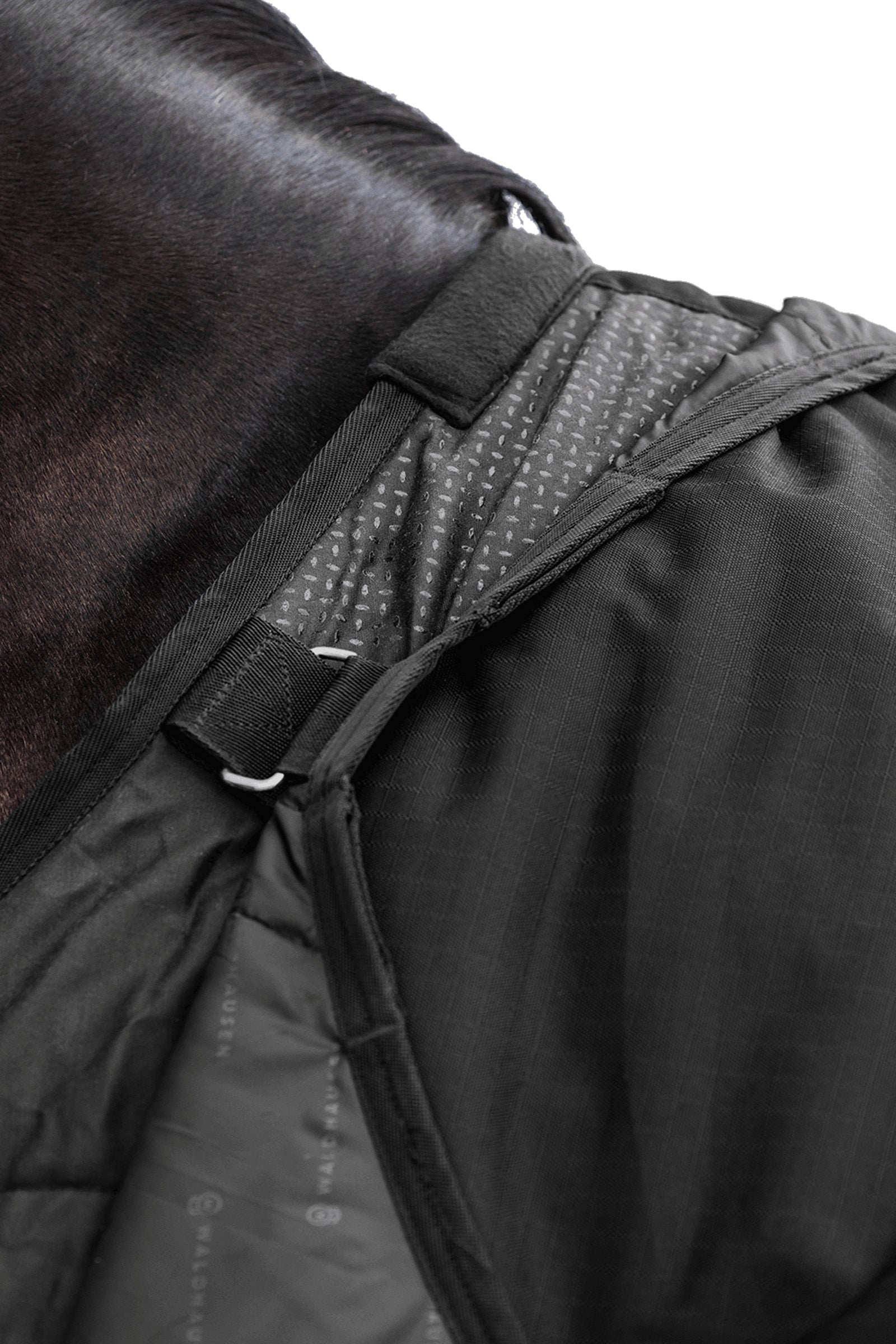 Waldhausen NORDIC 600D Outdoor Rug, 50 g Horse Rugs