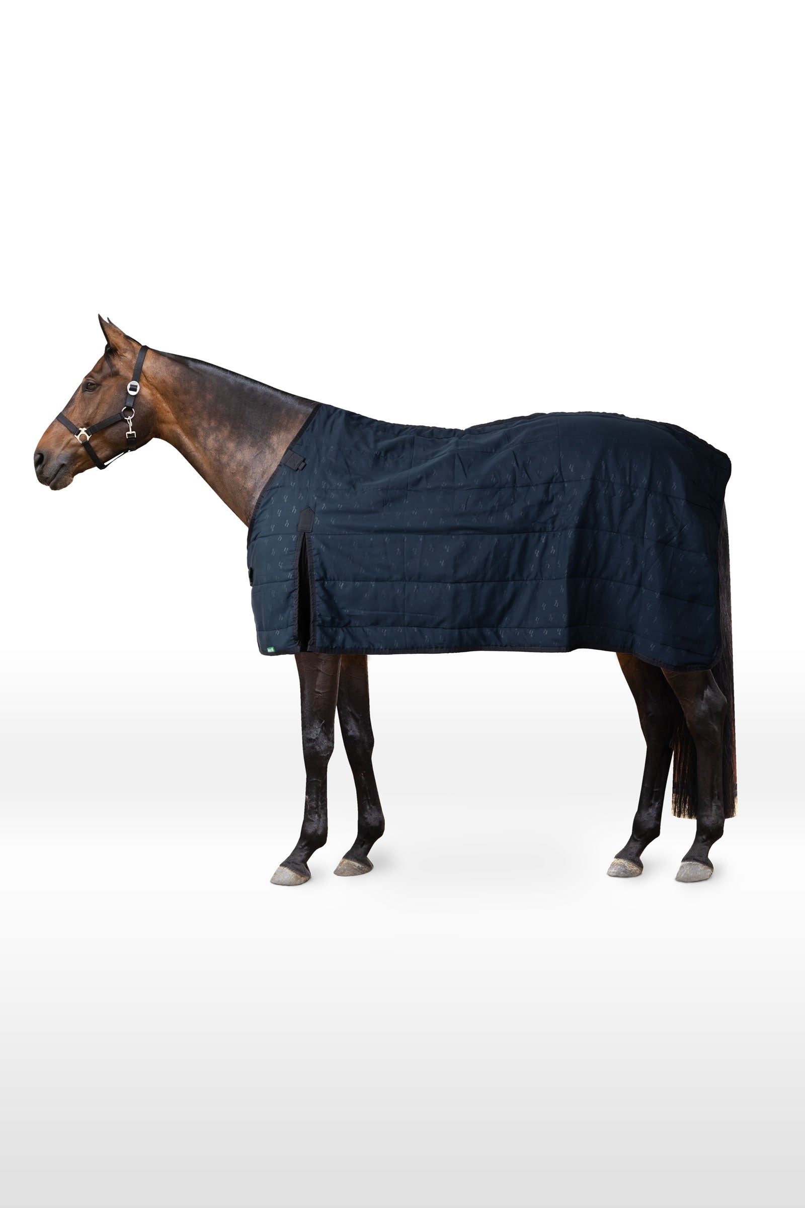 Horze sous-couverture, 100 g Couvertures cheval