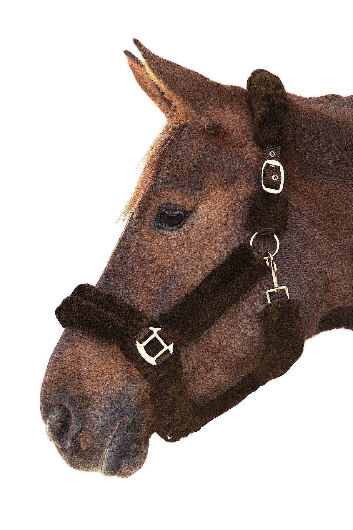 Waldhausen Cozy Furry Halter Halters & Leads