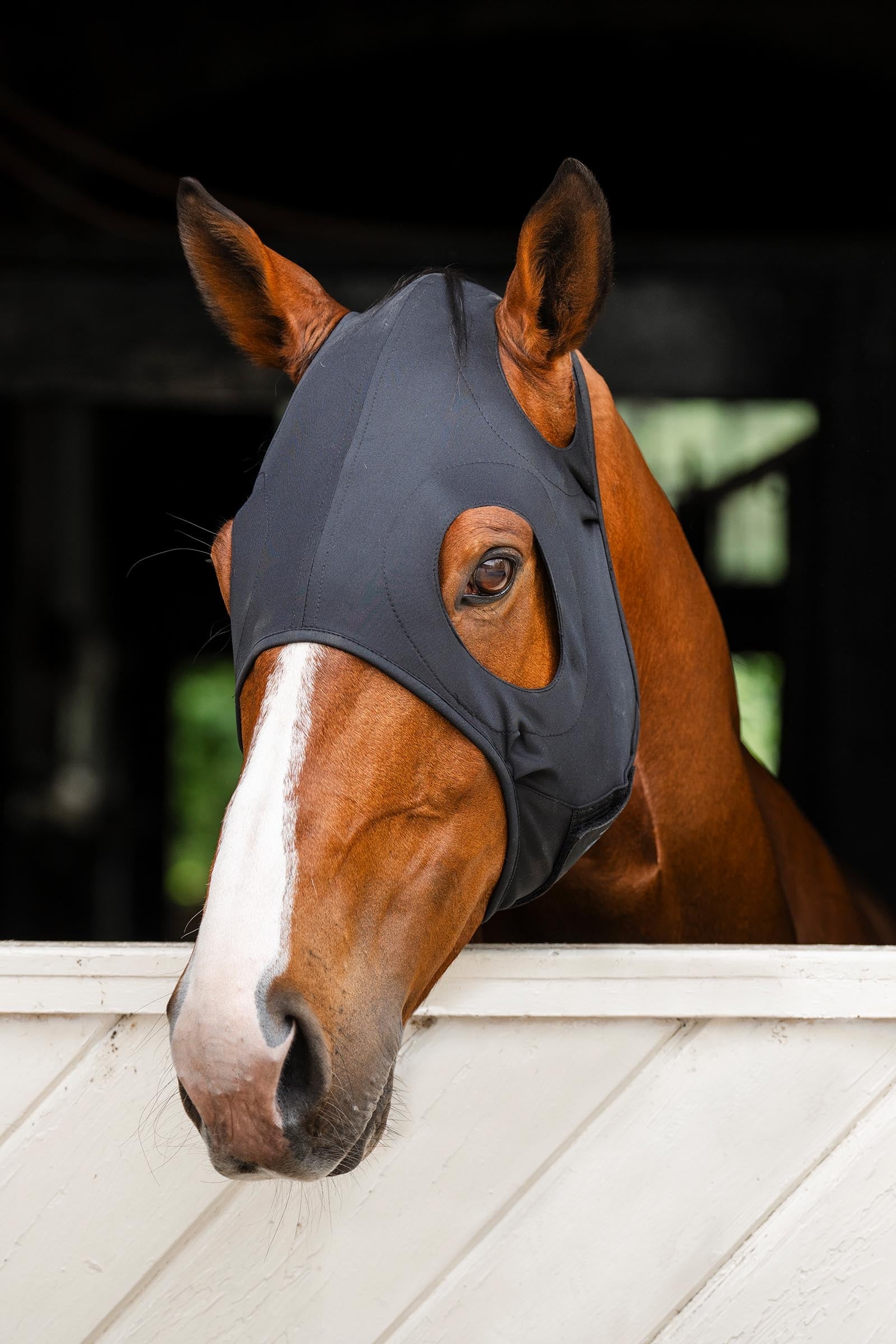 Horseware Ionic masque apaisant Anti-mouches cheval