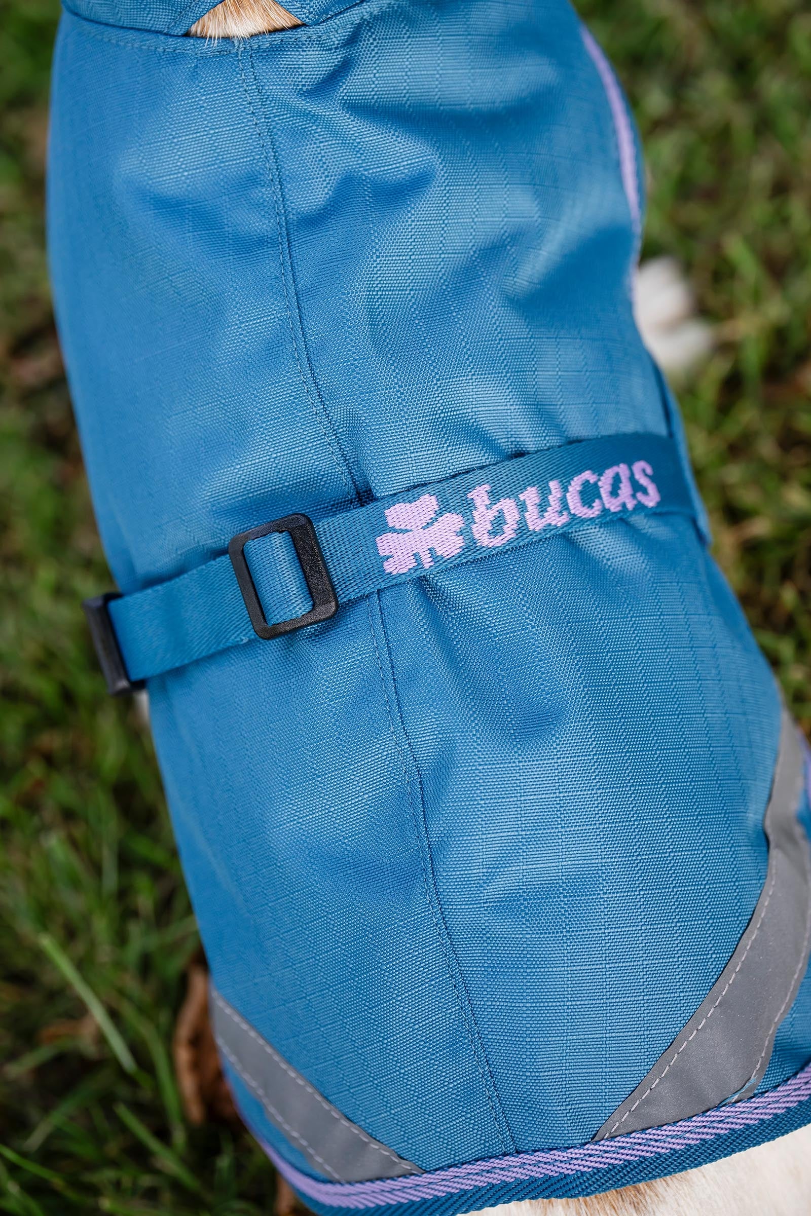 Bucas Freedom Turnout Rug, 150g Horse Rugs