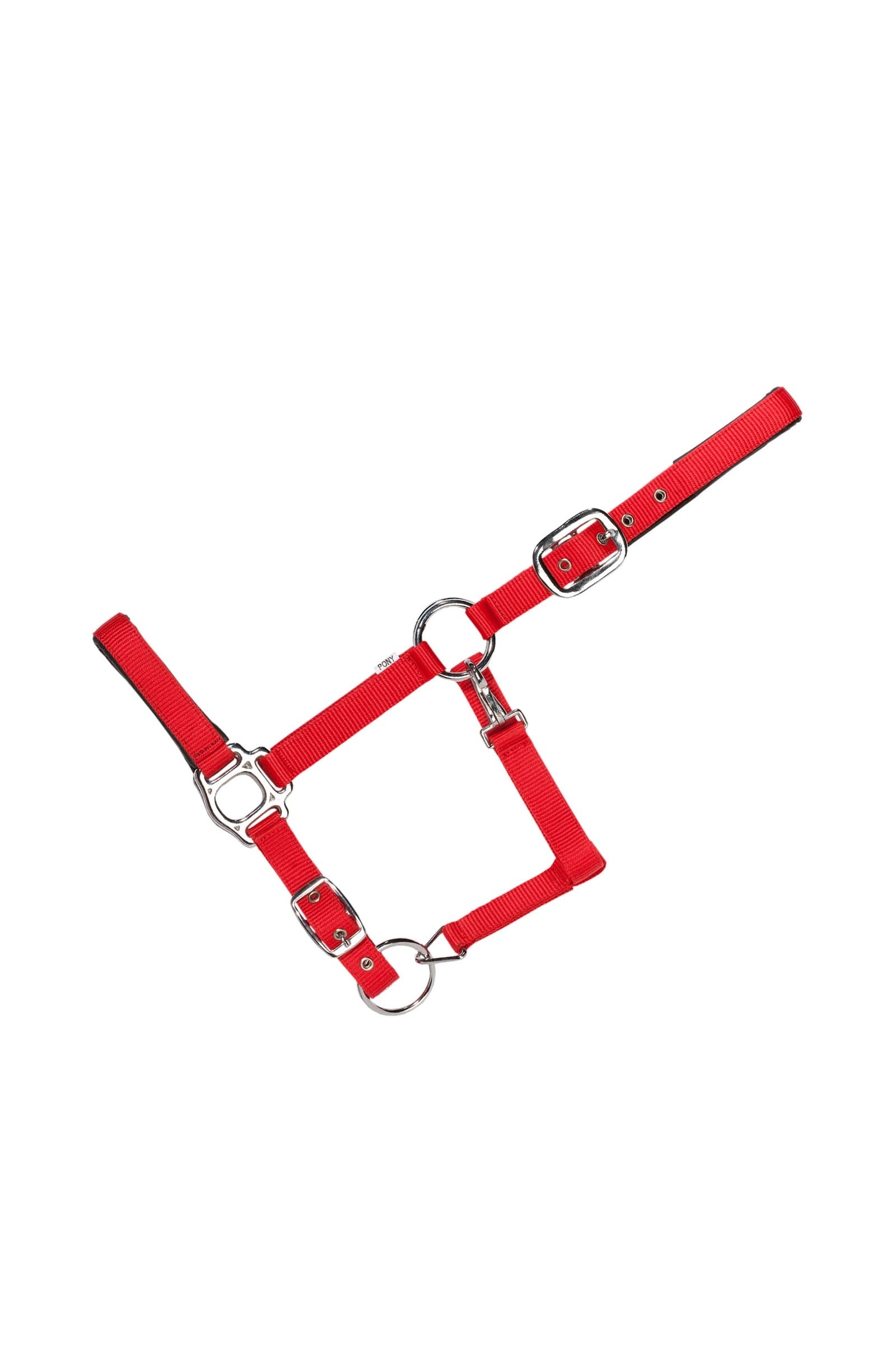 USG Everyday Soft Padded Halter Licols & longes
