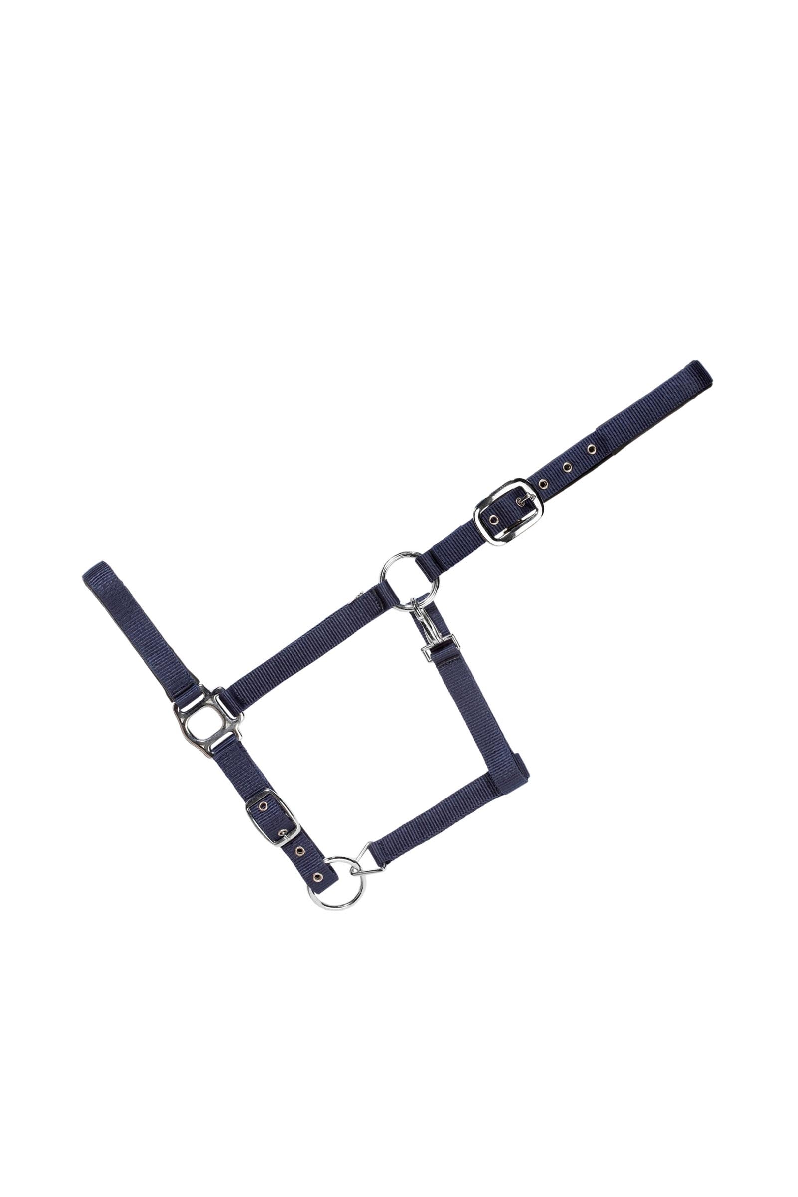 USG Everyday Soft Padded Halter Licols & longes