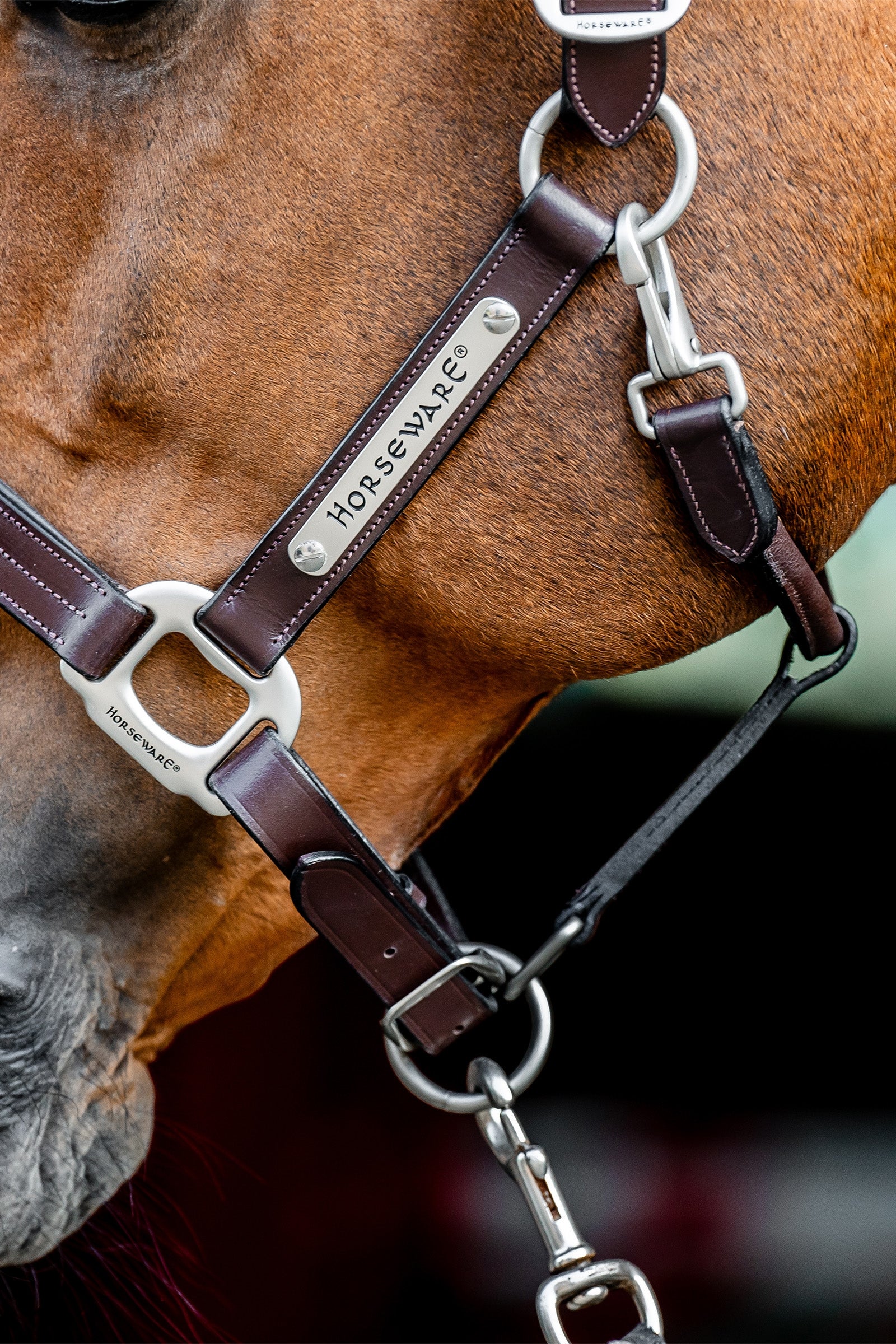 Horseware Signature Leather Headcollar Halters & Leads