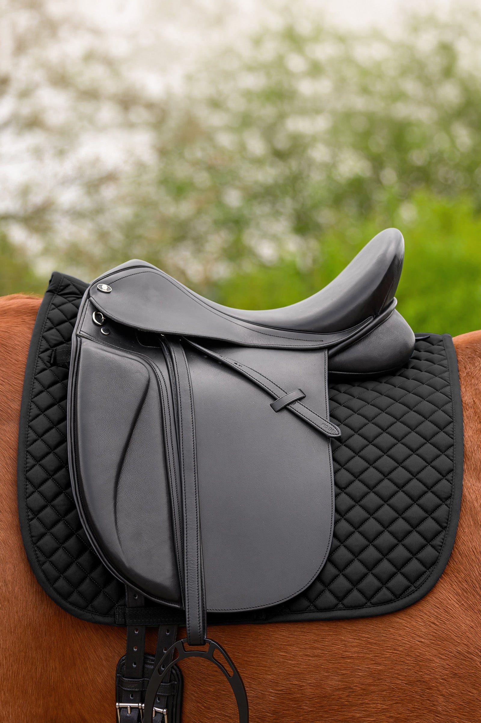 Waldhausen Felix Universal Dressage Saddle Pad Saddle Pads