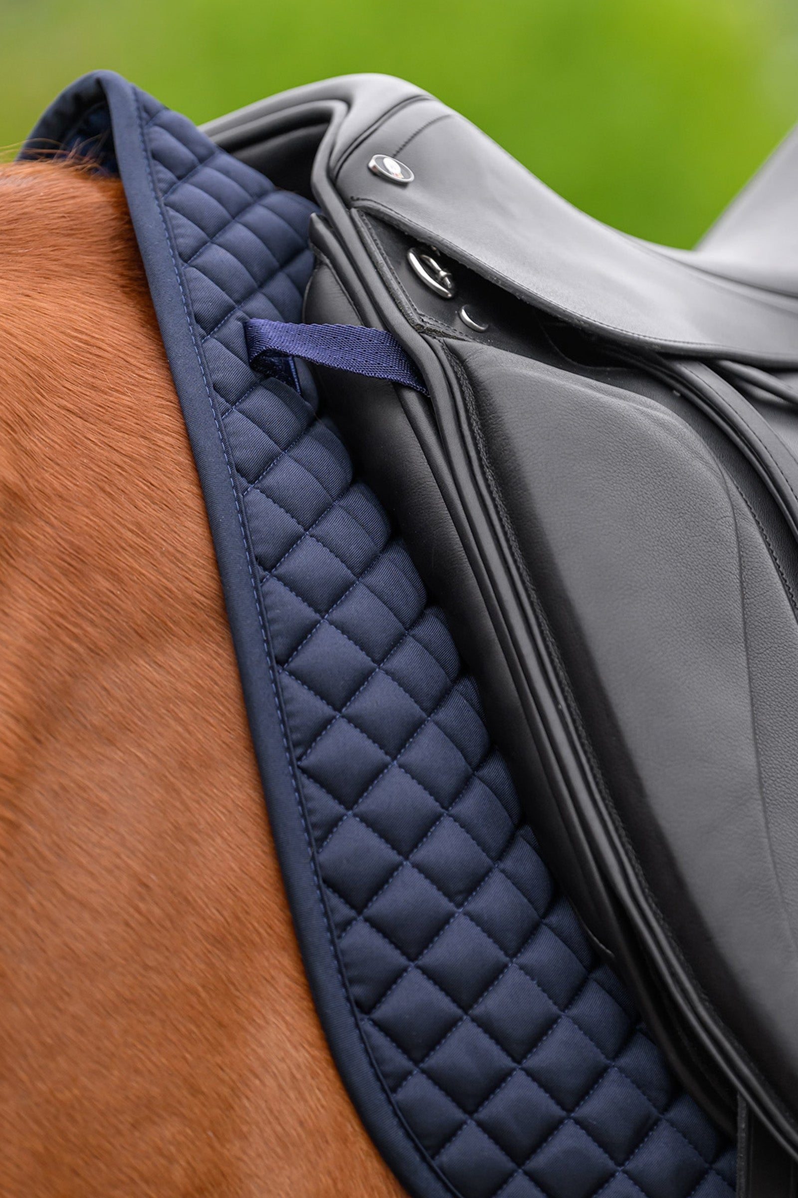 Waldhausen Felix Universal Dressage Saddle Pad Saddle Pads