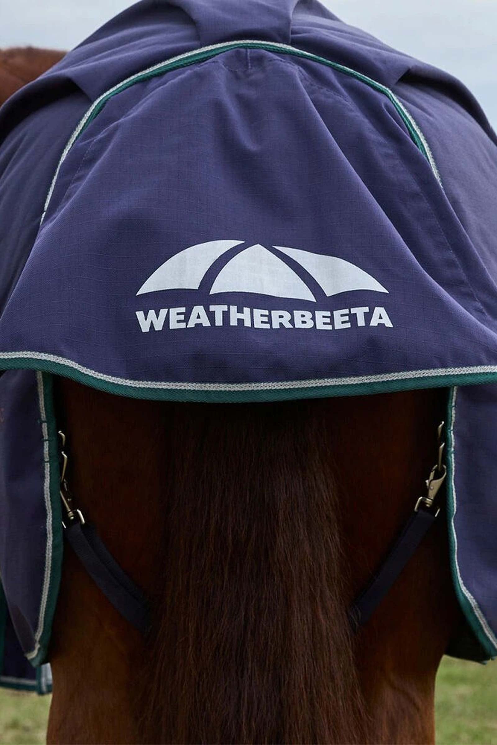 Weatherbeeta ComFiTecPlus Dynamic Turnout Detach-A-Neck 220G Horse Rugs