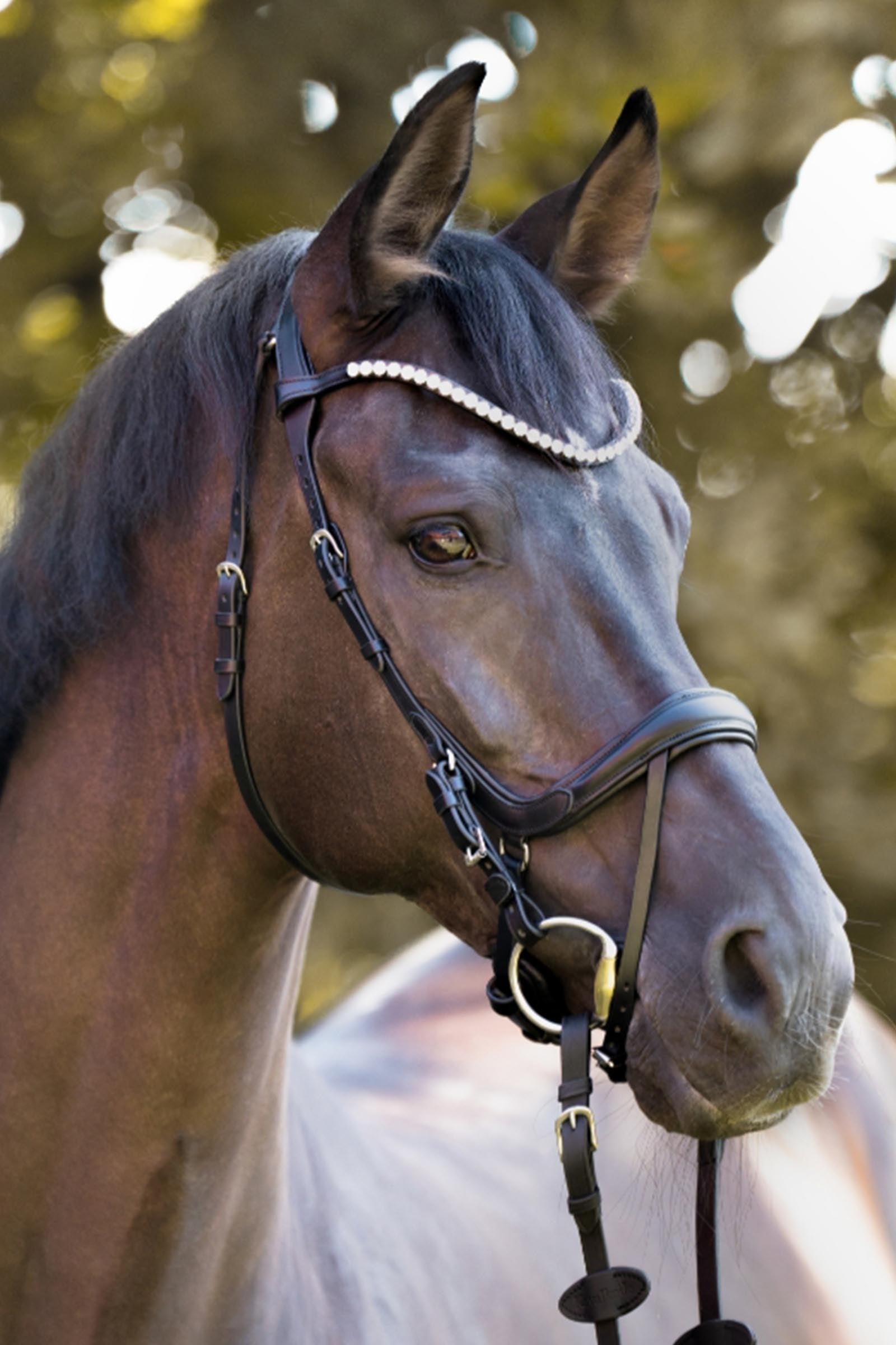 Kavalkade Calla English Combined Bridle With Rhinestone Browband Bridles & Reins