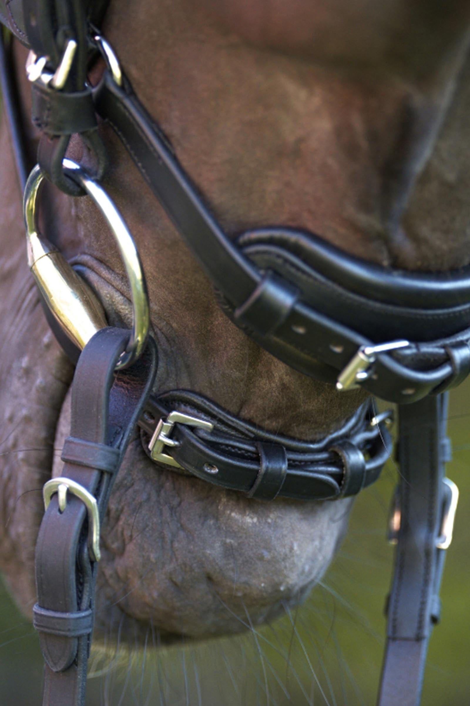 Kavalkade Calla English Combined Bridle With Rhinestone Browband Bridles & Reins