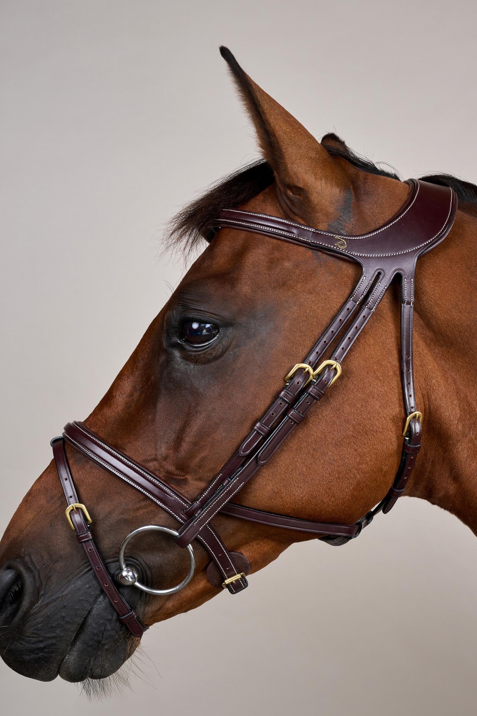 Dy'on D-Collection Difference Bridle Bridles & Reins
