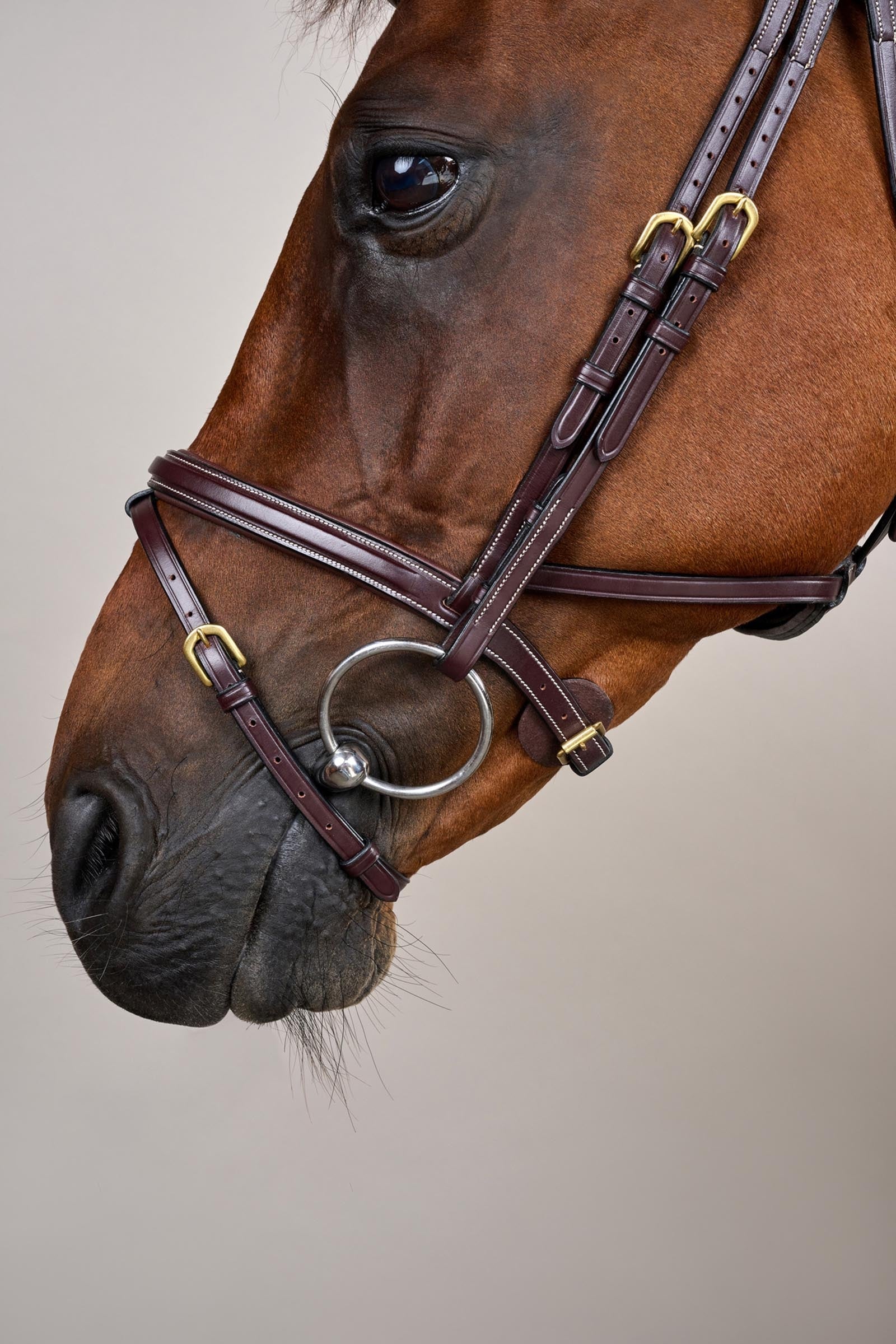 Dy'on D-Collection Difference Bridle Bridles & Reins