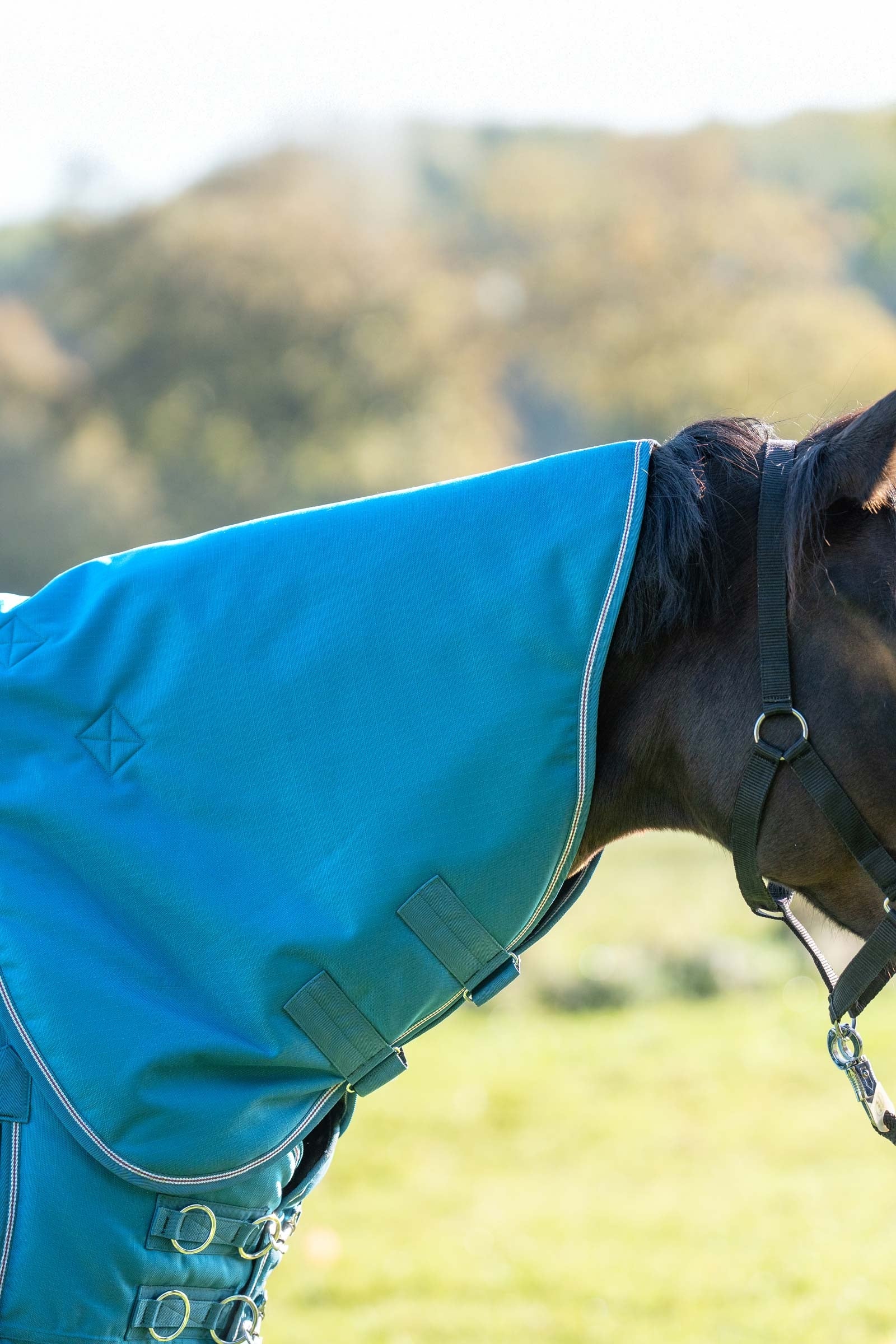 Kavalkade Couvre-encolure pour Alaska IV, 100 g Couvertures cheval