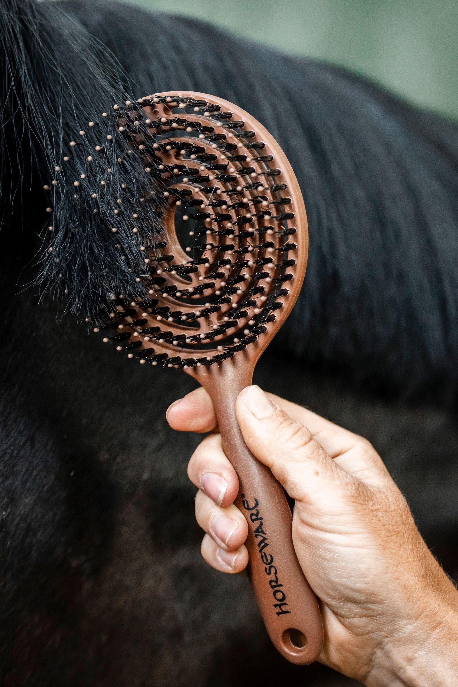 Horseware brosse crinière et queue Matériel de pansage
