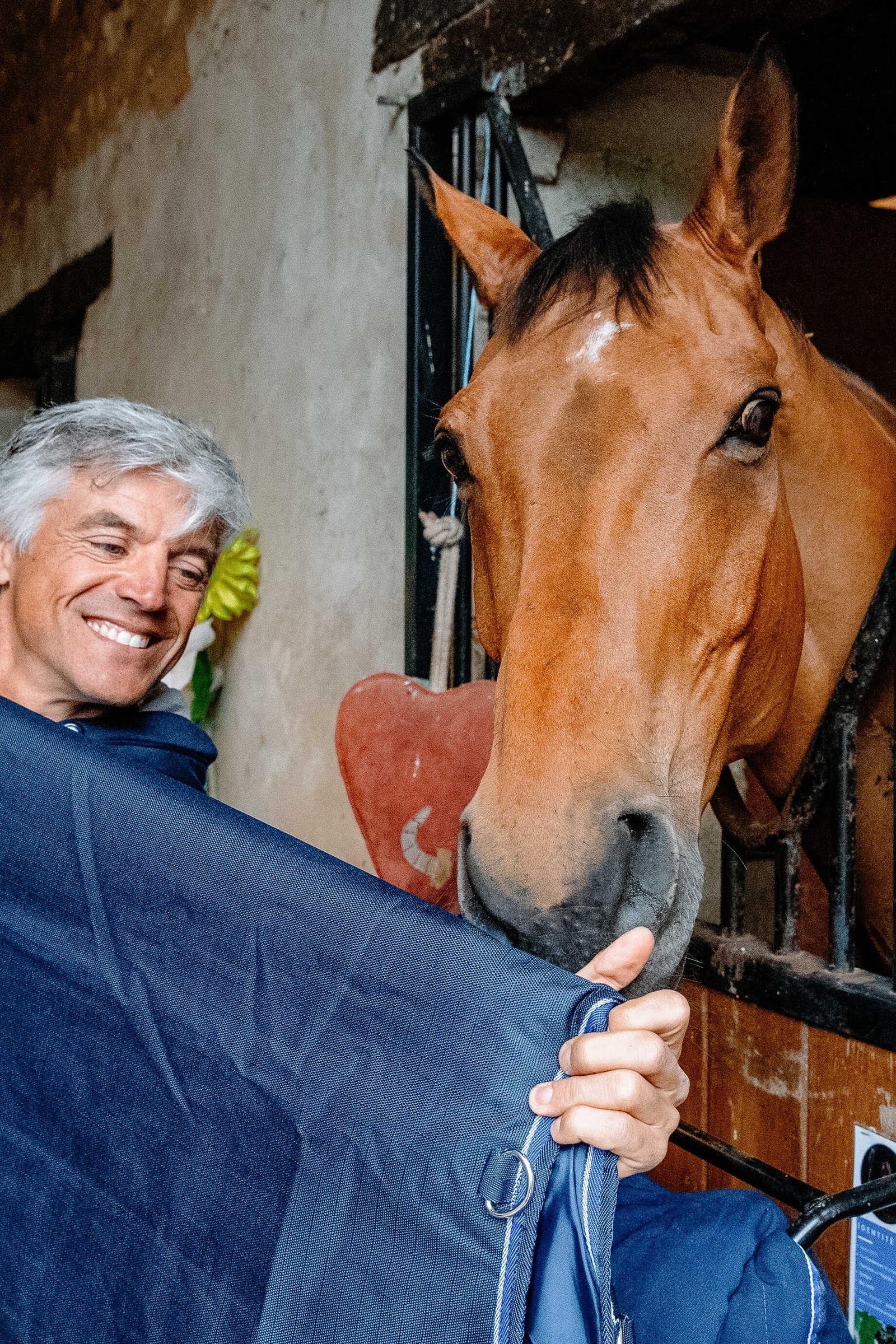 Equi Theme EQUITHÈME Classic 1200D Turnout Rug, 50 g Horse Rugs