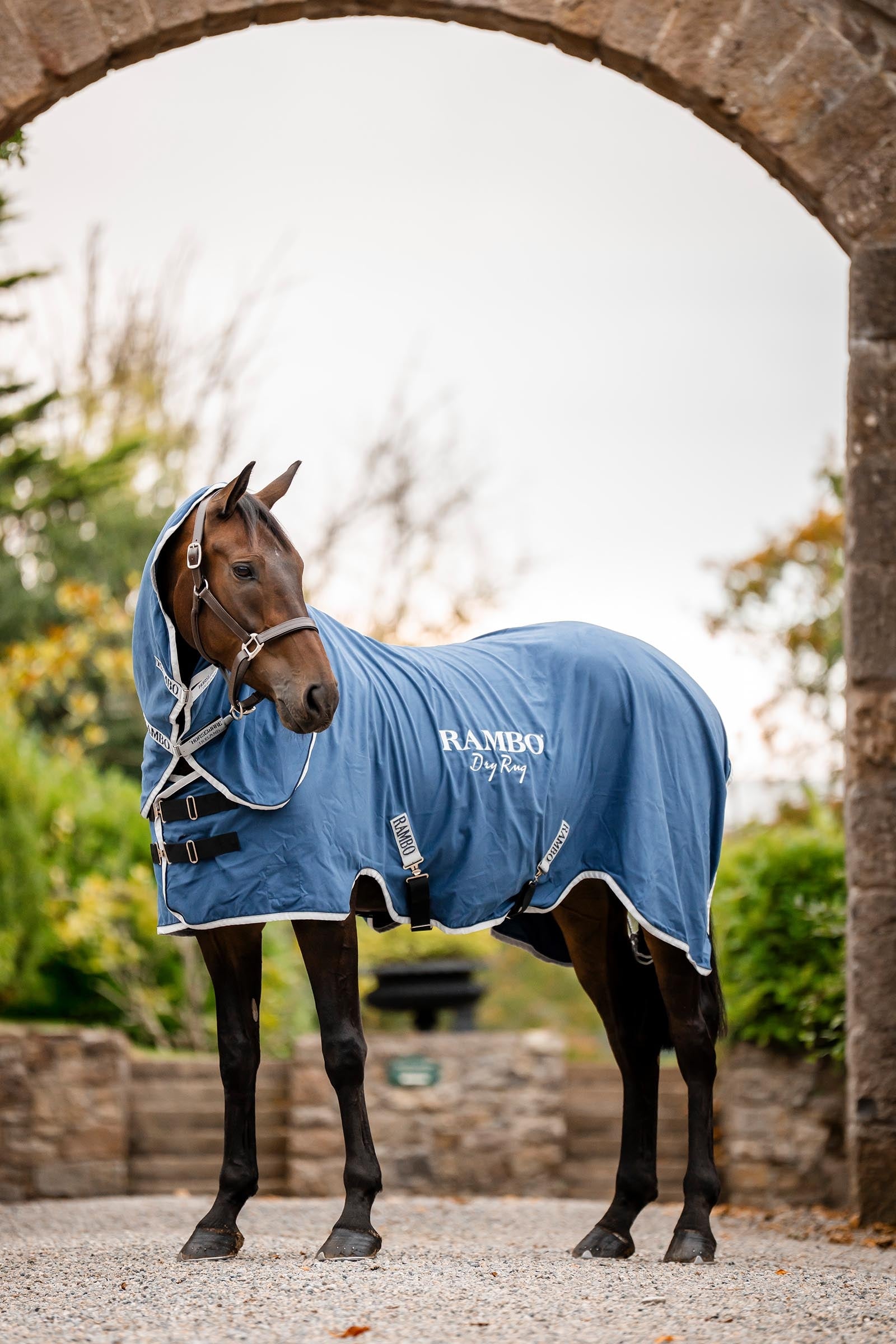 Horseware Rambo Dry Rug Supreme Horse Rugs