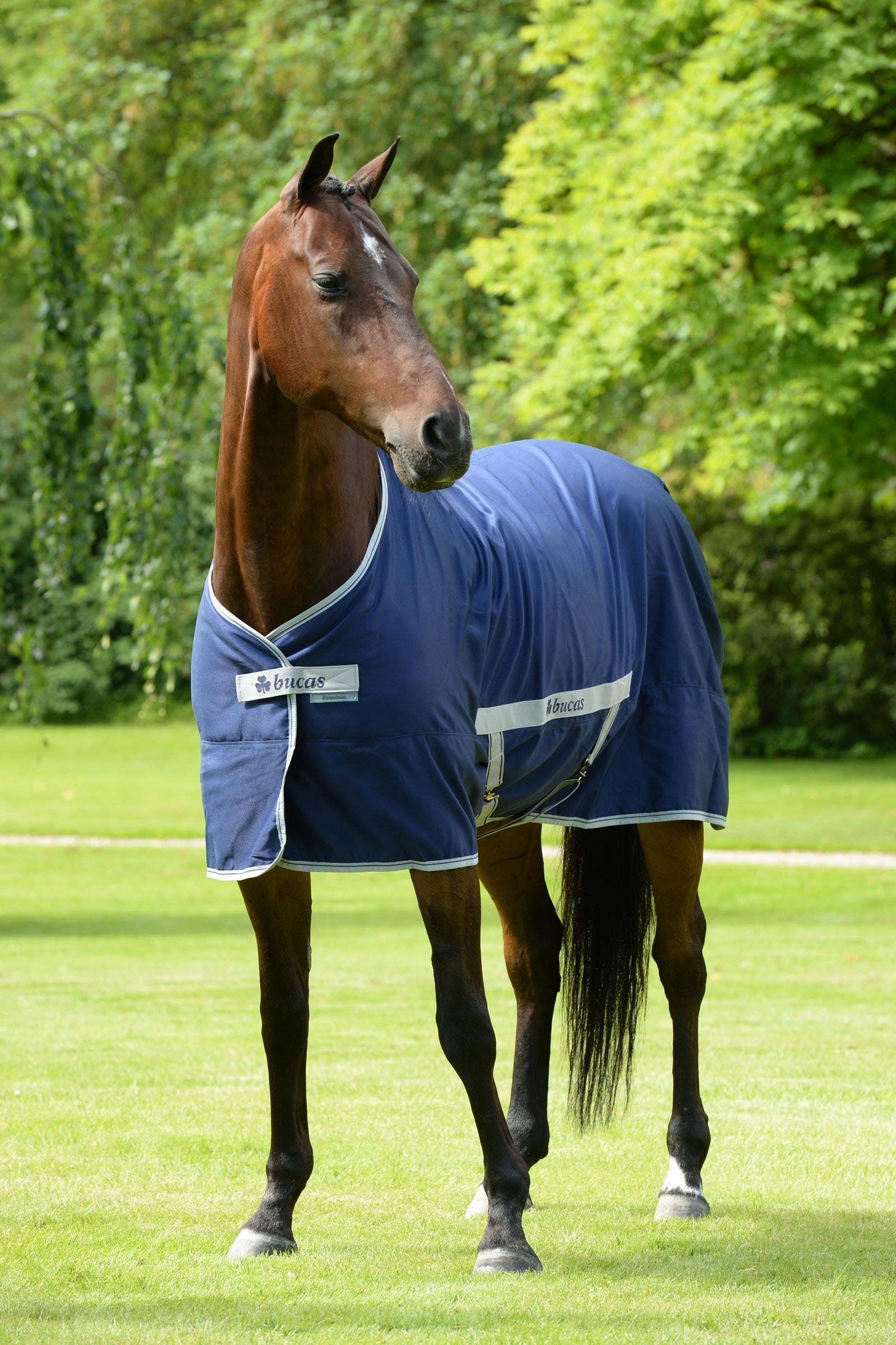 Bucas Freedom Twill Couverture écurie, 0 g Couvertures cheval