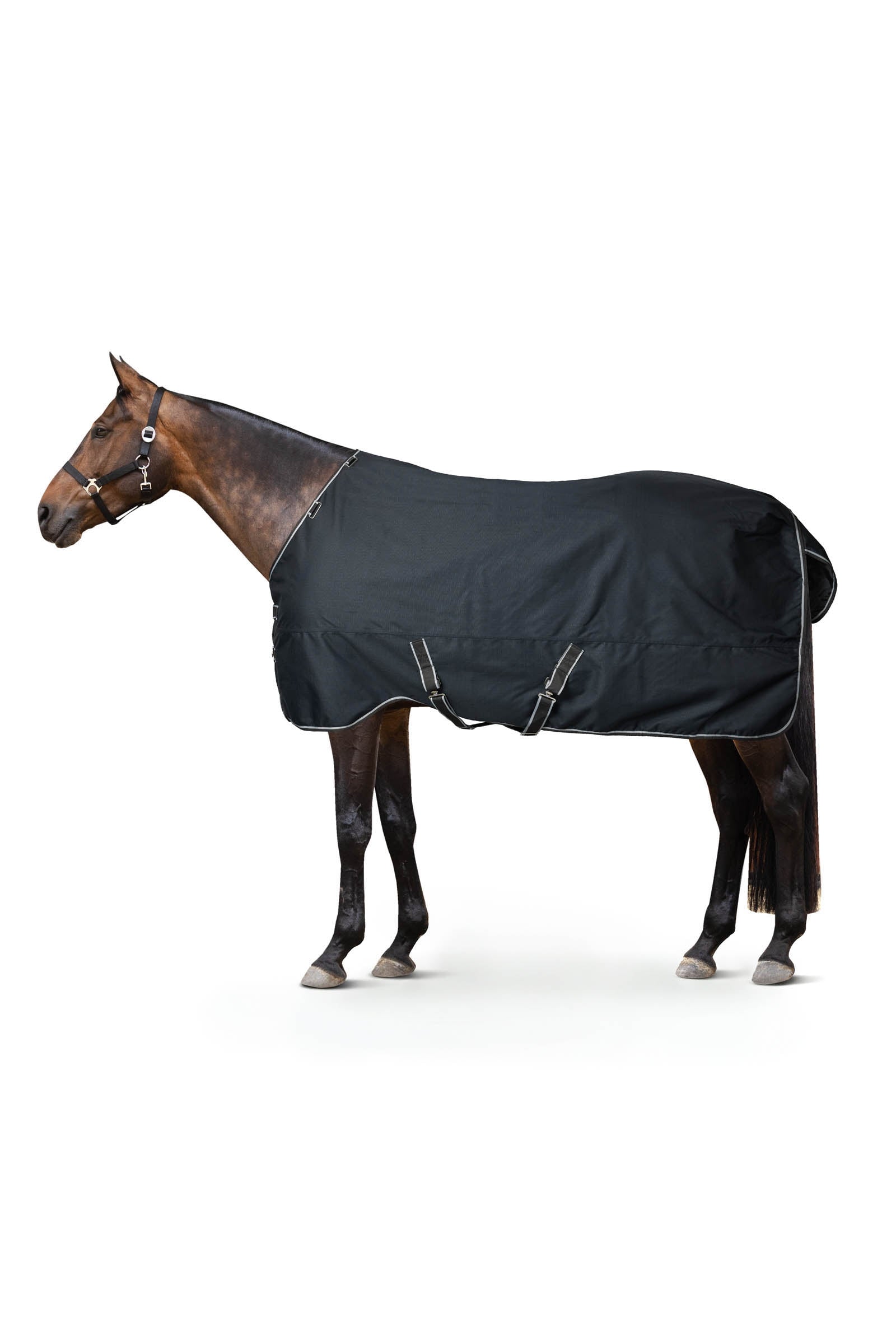 Horze Kodiak 1200D Turnout Rug 0g Horse Rugs