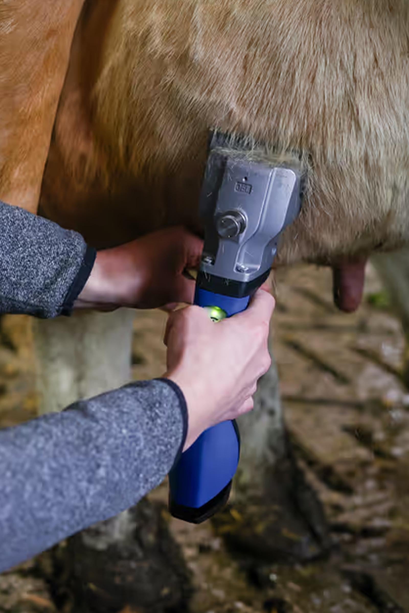 Aesculap Bonum Pro Horse Clipper With 1 Battery Horse Clipping & Trimming Tools
