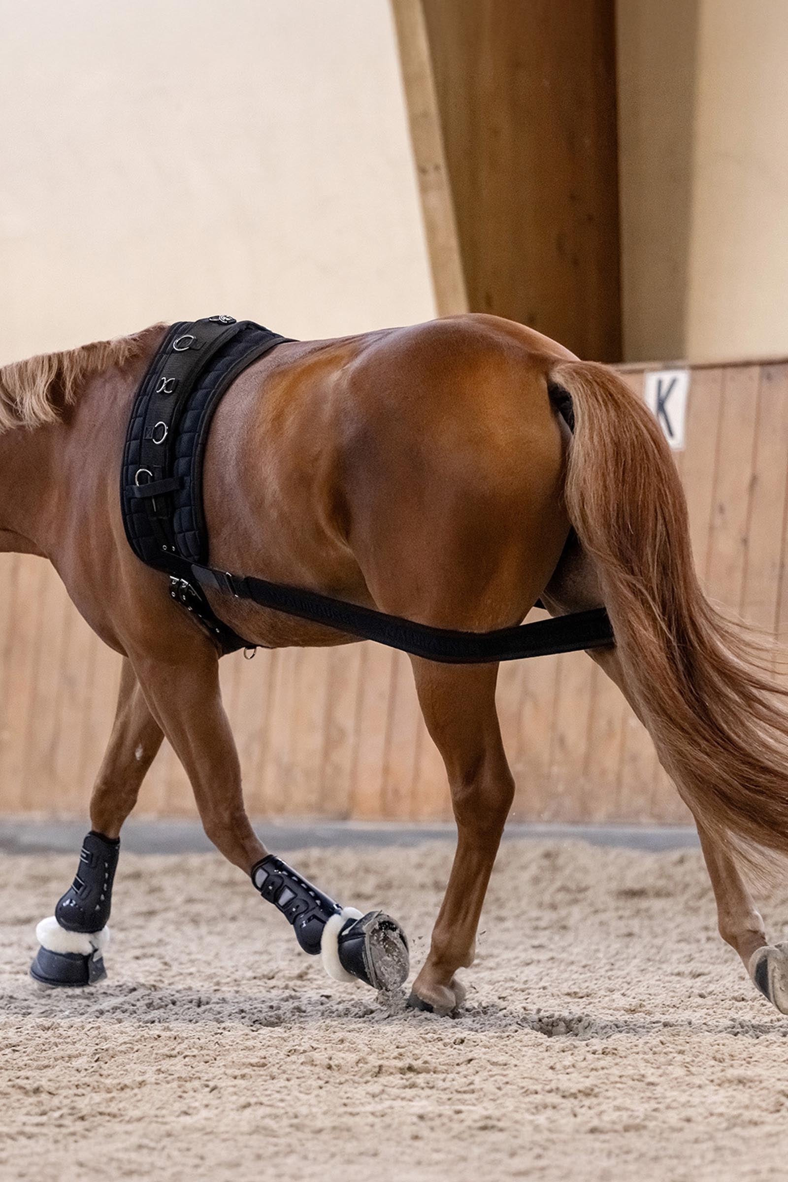 Waldhausen Body Bandage, Activation of the Hindquarters Leg & Hoof Protection