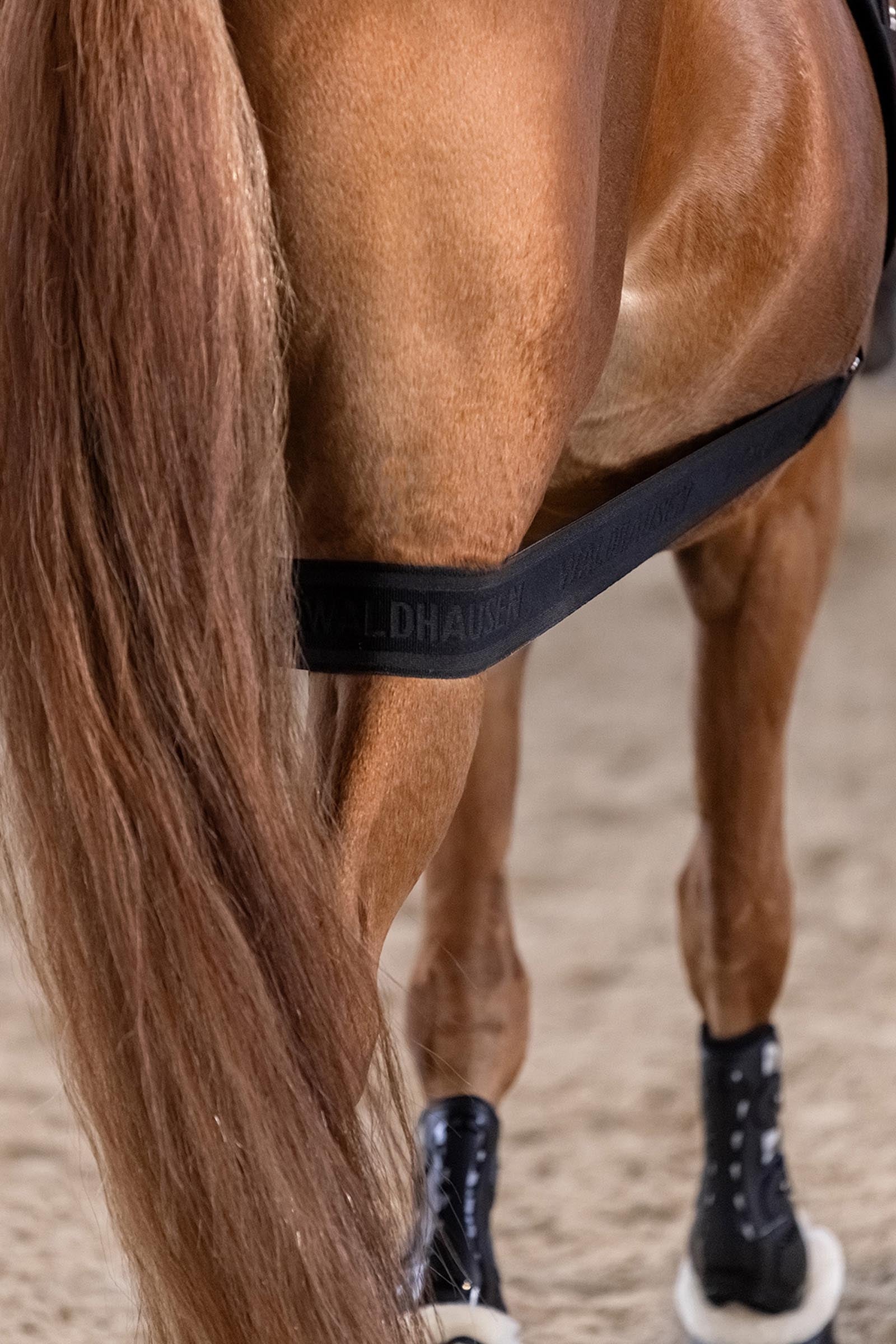 Waldhausen Body Bandage, Activation of the Hindquarters Leg & Hoof Protection