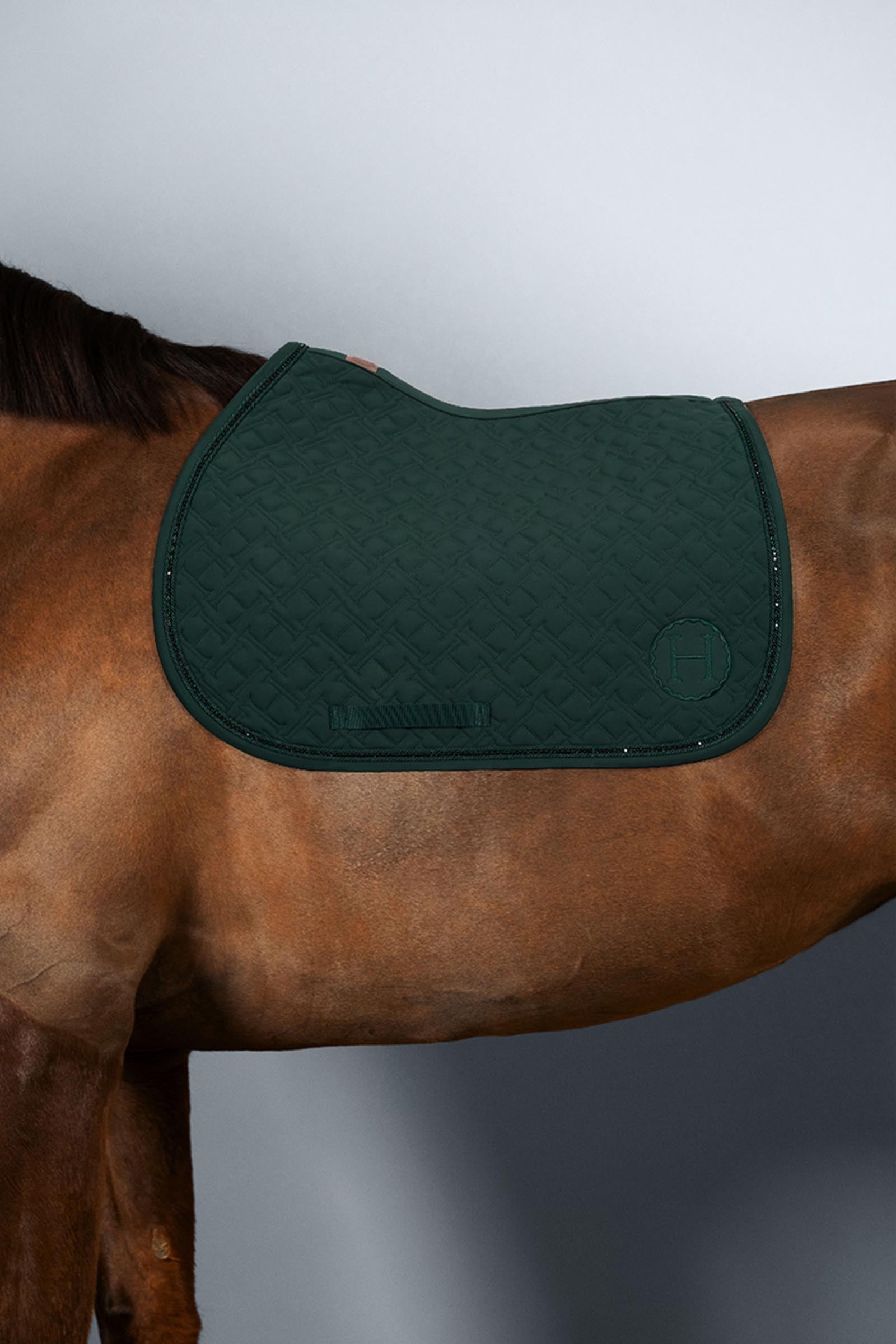 Harcour Saphir tapis poney Poney & Shetland