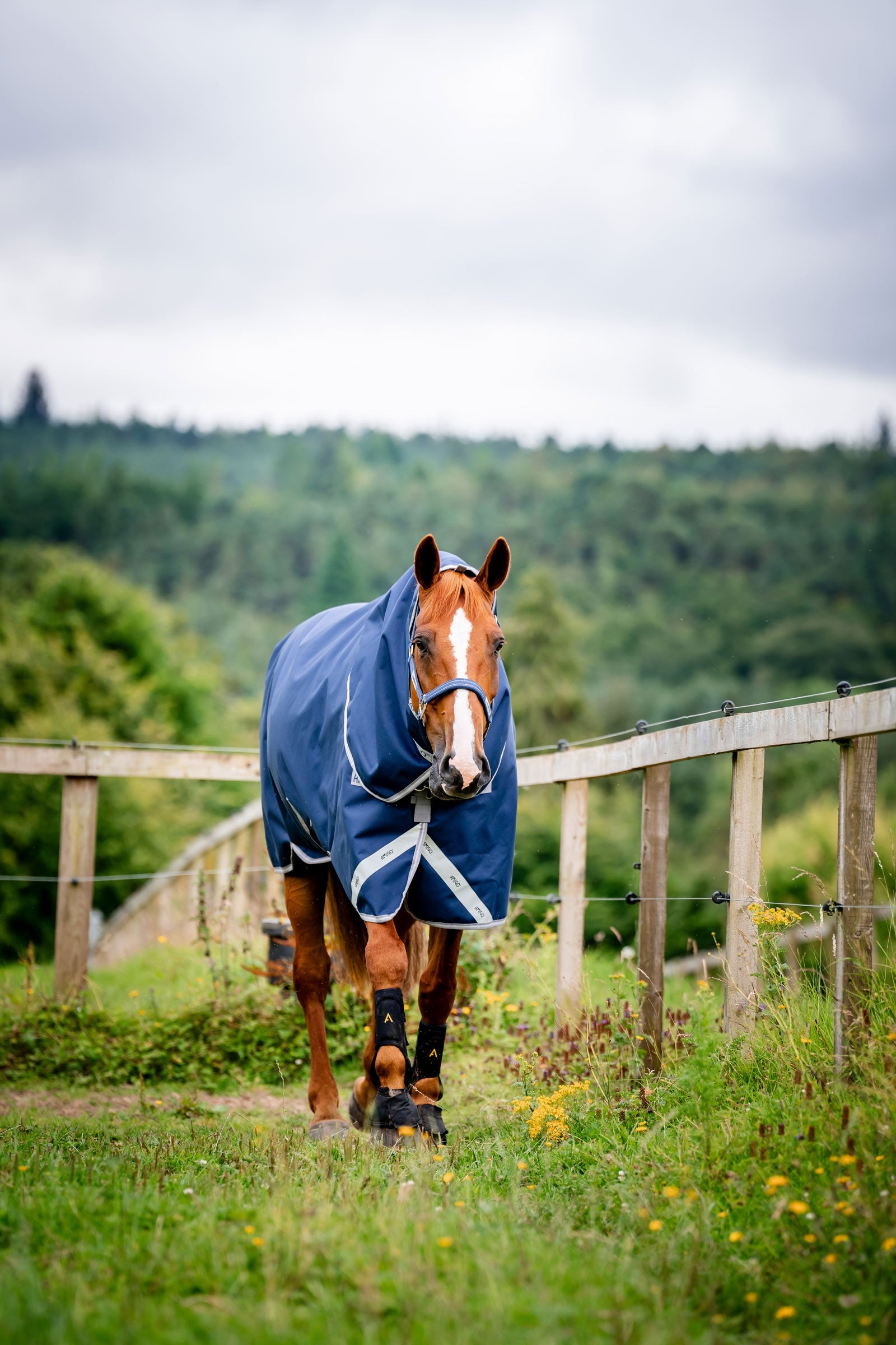 Horseware Amigo Bravo 12 Plus 100g Horse Rugs