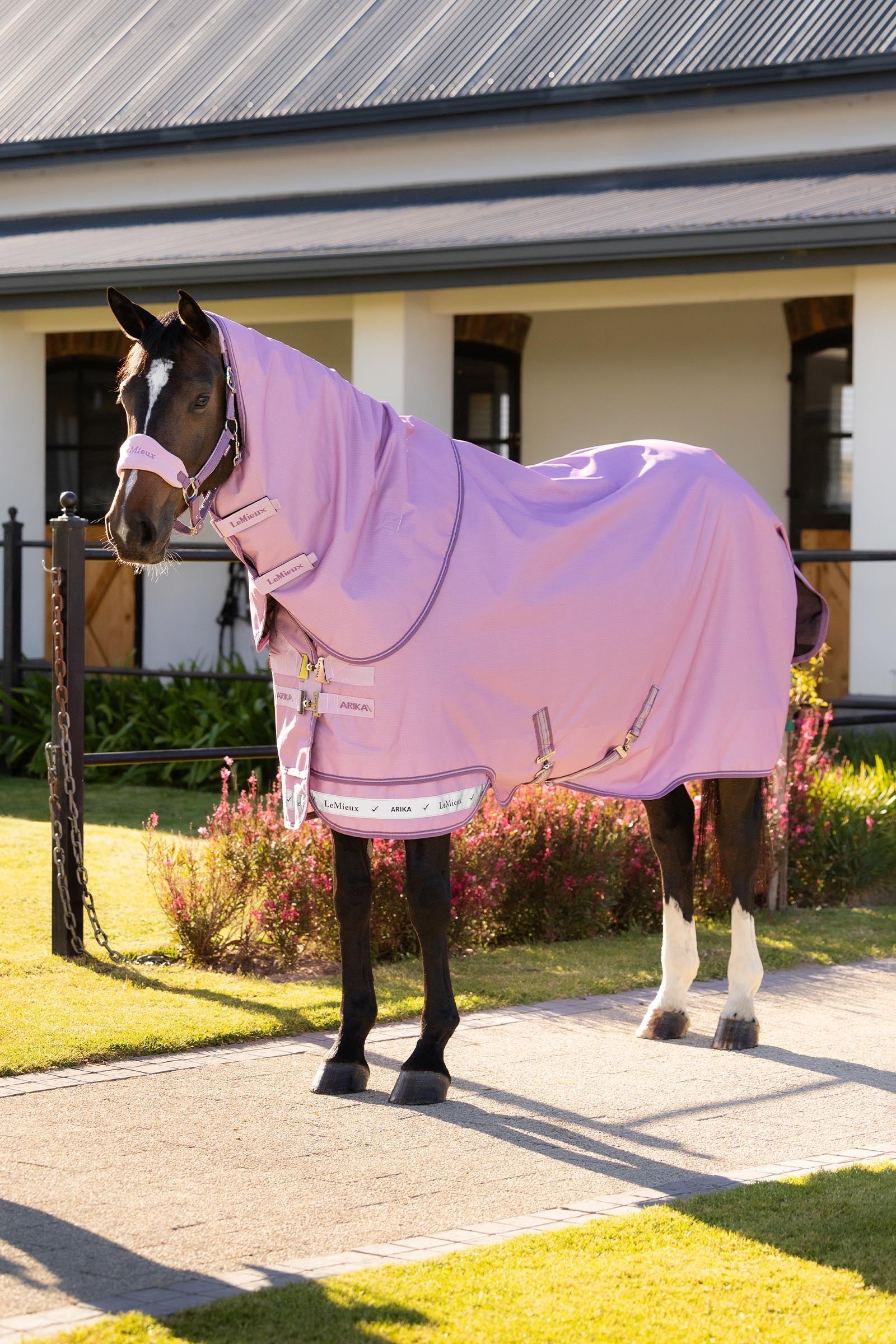 LeMieux Arika couverture d’extérieur ripstop avec encolure amovible 50 g Couvertures cheval