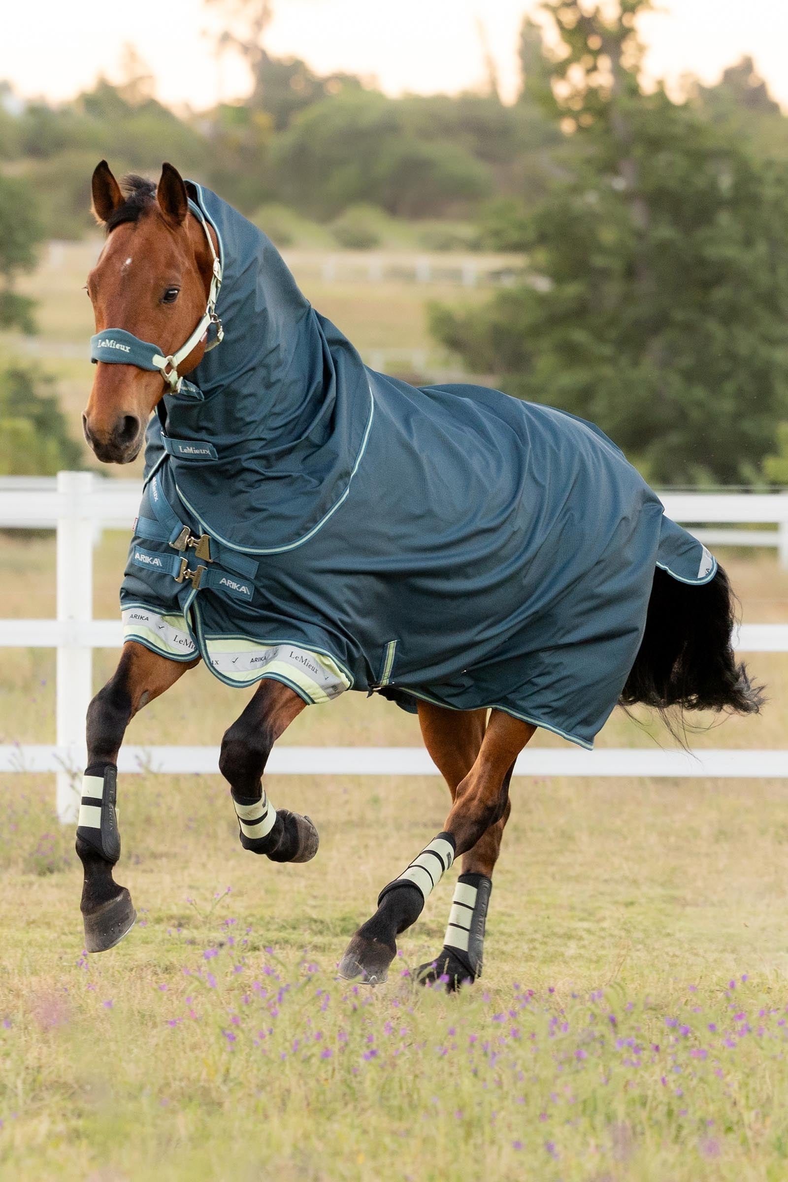 LeMieux Arika Ripstop Turnout Rug With Detachable Neck, 50g Horse Rugs