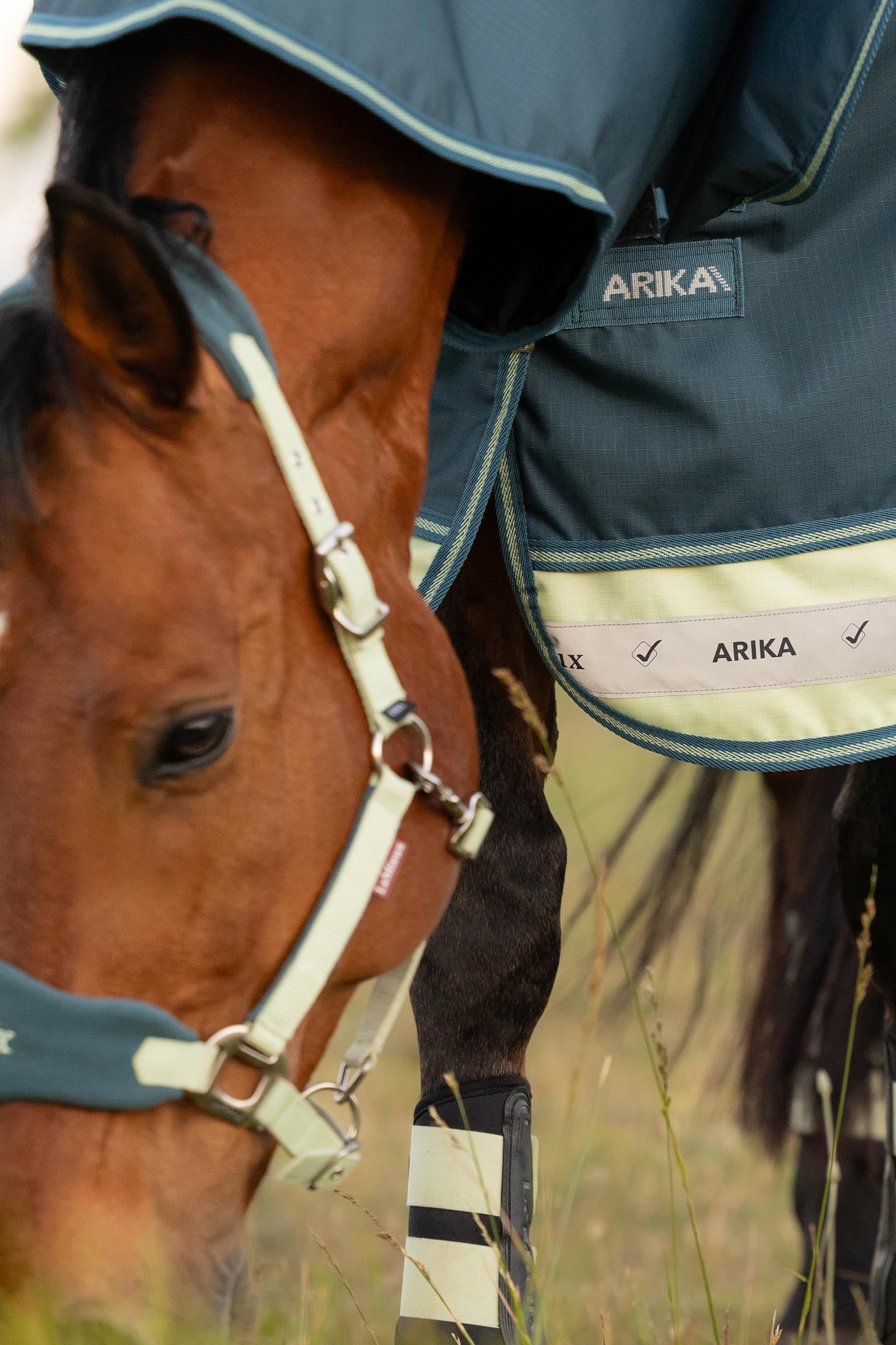 LeMieux Arika Ripstop Turnout Rug With Detachable Neck, 50g Horse Rugs