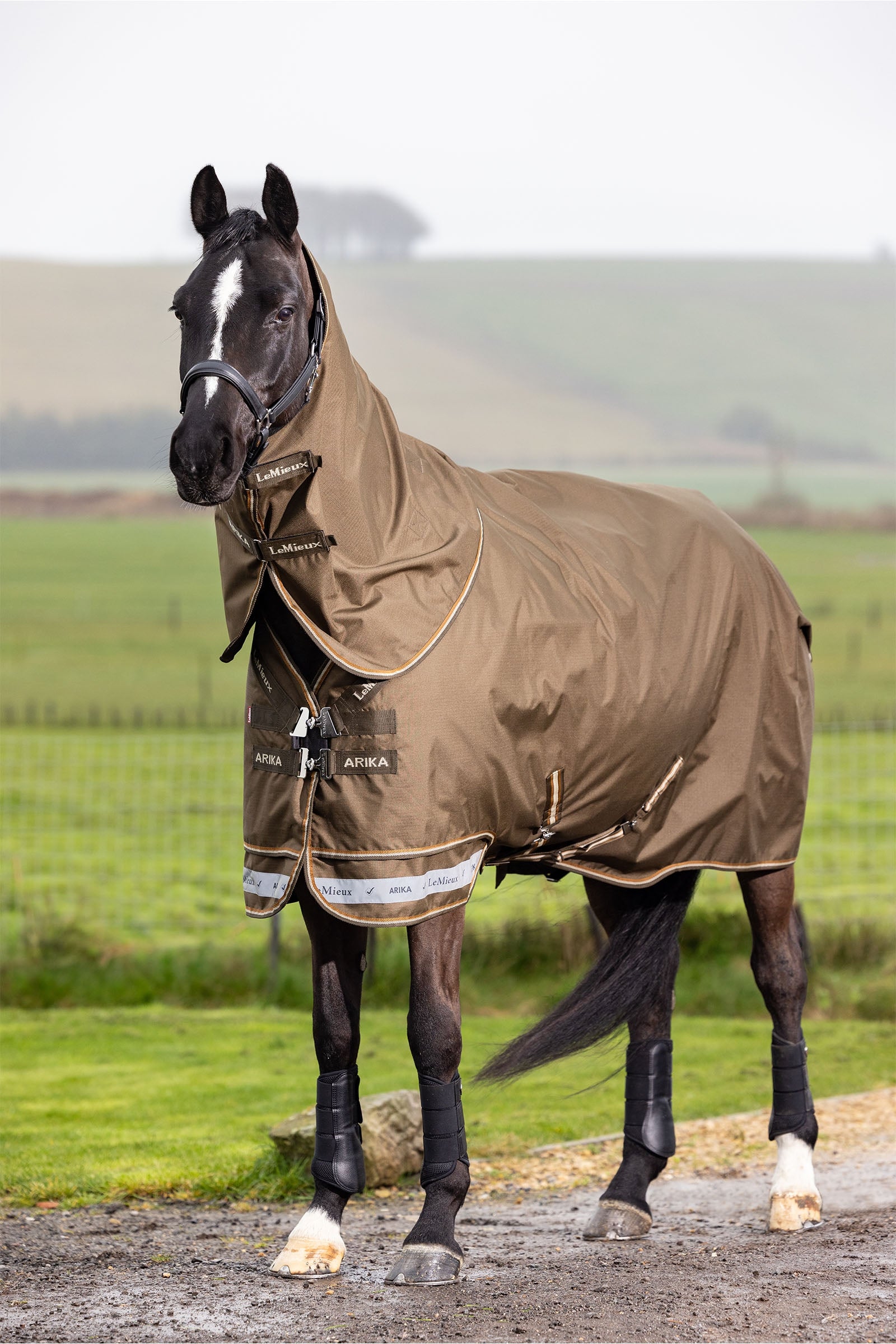 LeMieux Arika Ripstop Turnout Rug With Detachable Neck, 50g Horse Rugs