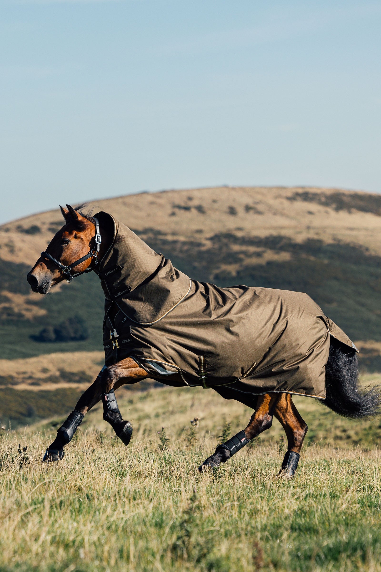LeMieux Arika Ripstop Turnout Rug With Detachable Neck, 50g Horse Rugs