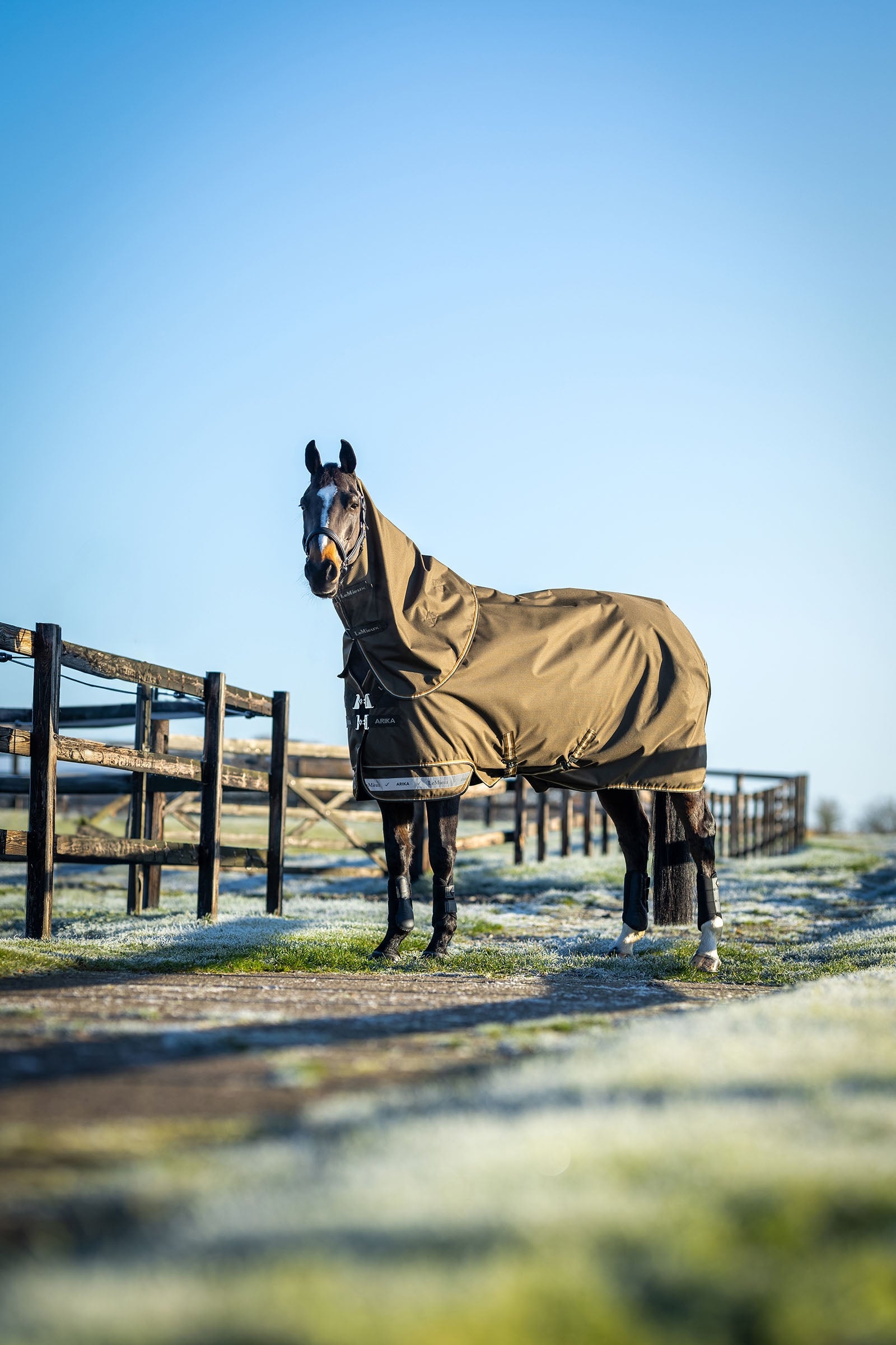 LeMieux Arika Ripstop Turnout Rug With Detachable Neck, 50g Horse Rugs