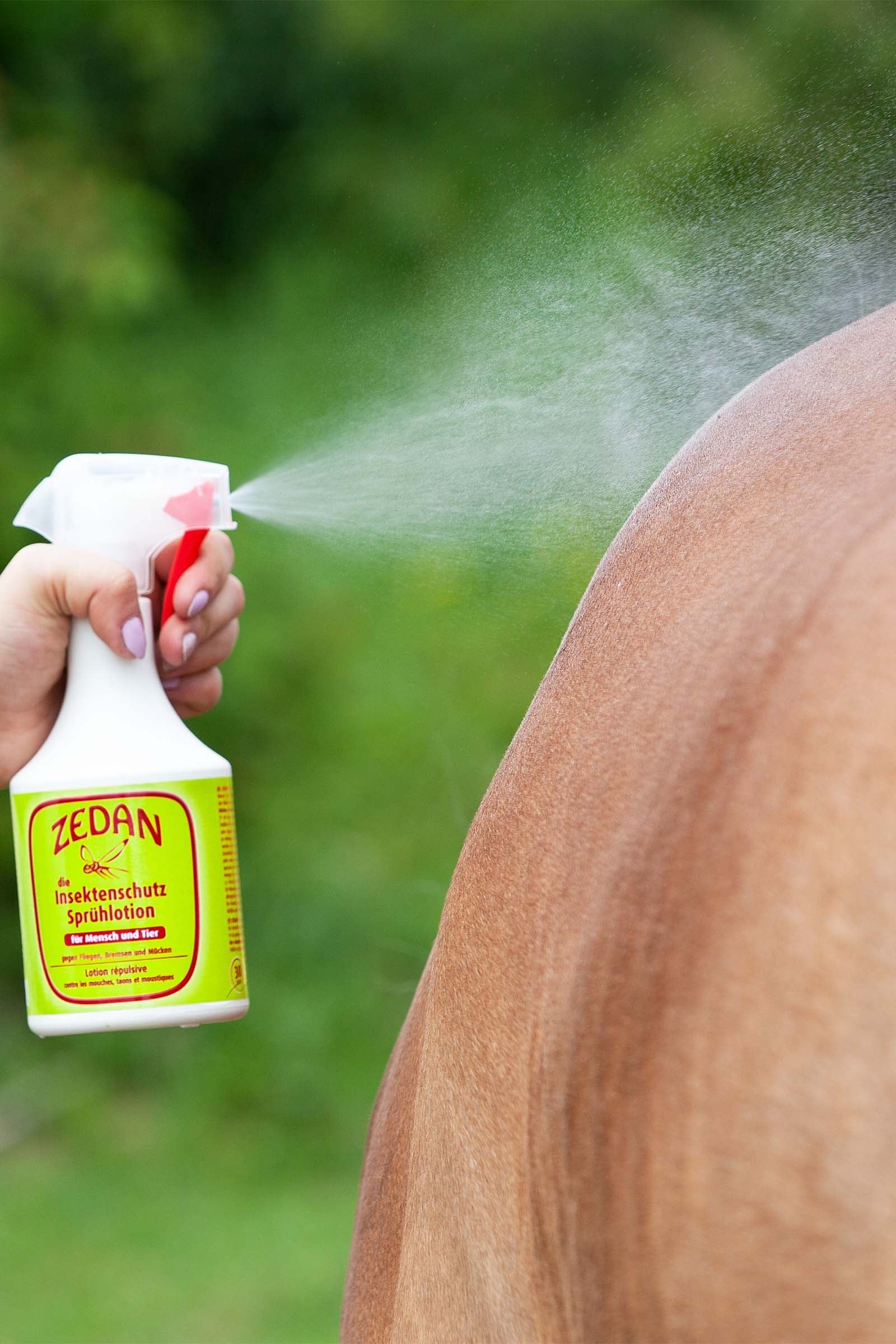 Zedan SP Insect Protection Spray Lotion 500ml Antifly Protection for Horses