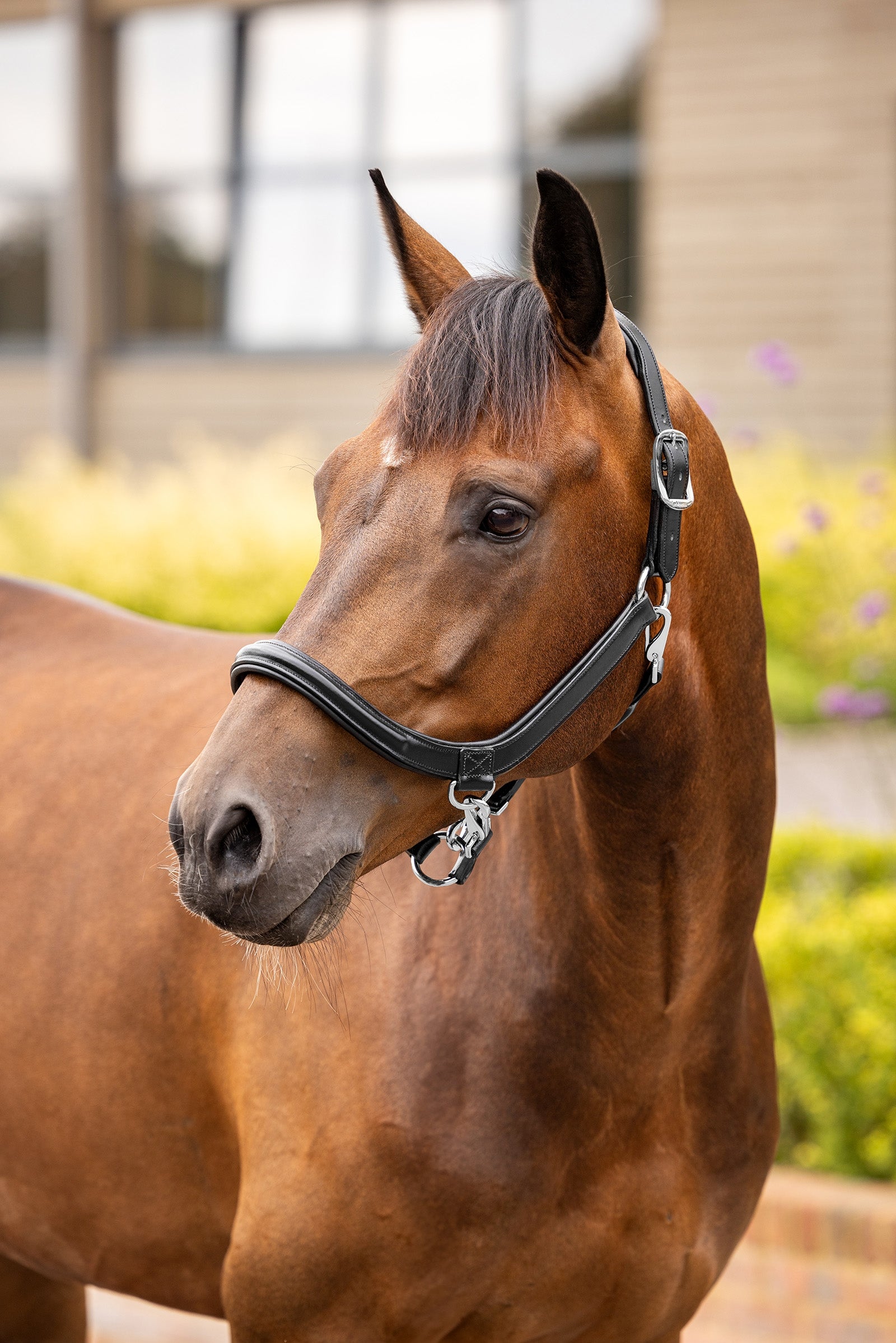 LeMieux Leather Grooming Headcollar Halters & Leads