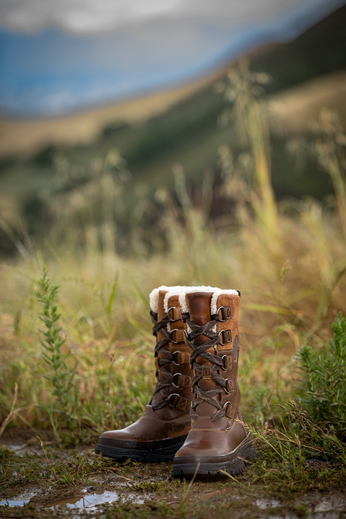 Ariat Women's Wetherby Waterproof Insulated Boot Riding Boots & Riding Shoes