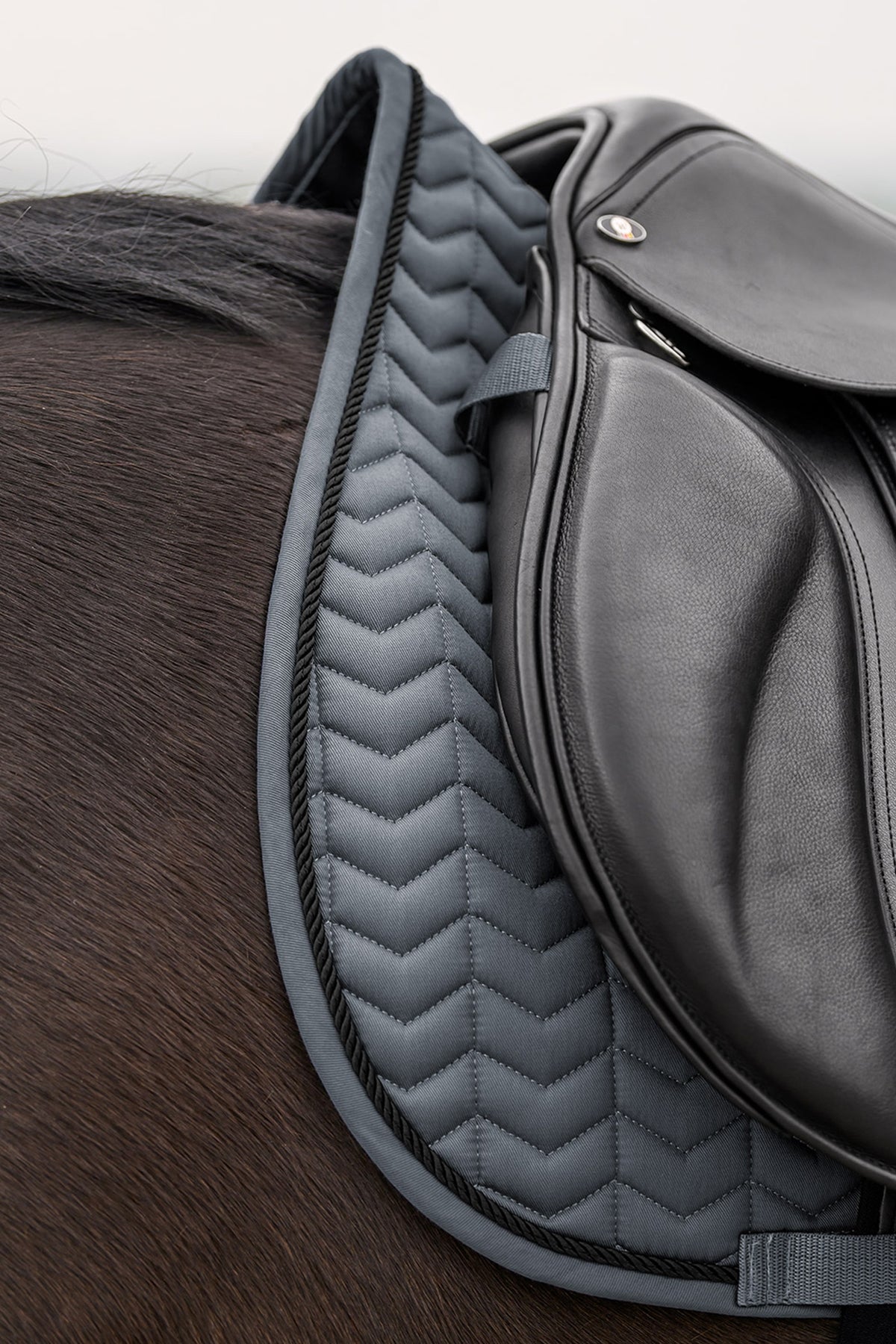 Waldhausen Classic All Purpose Saddle Pad Saddle Pads