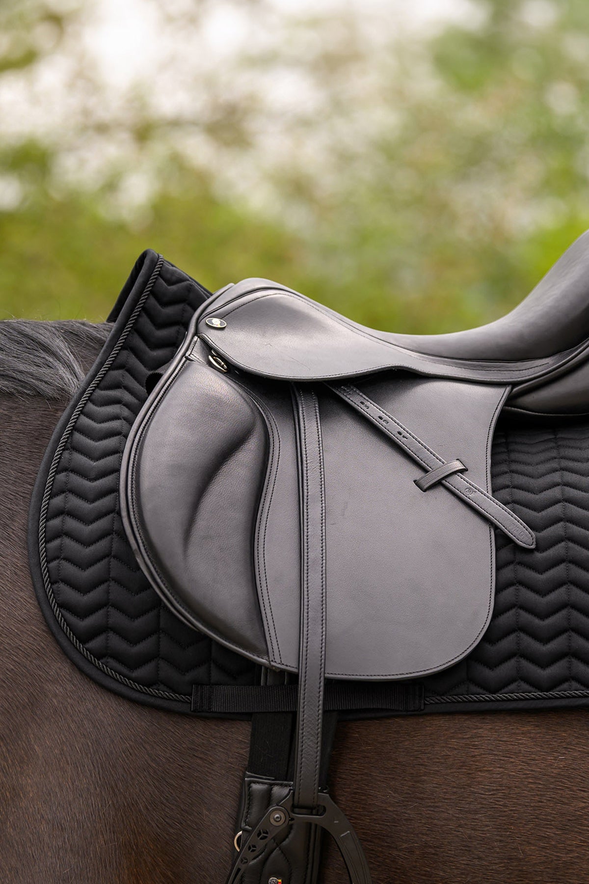Waldhausen Classic All Purpose Saddle Pad Saddle Pads