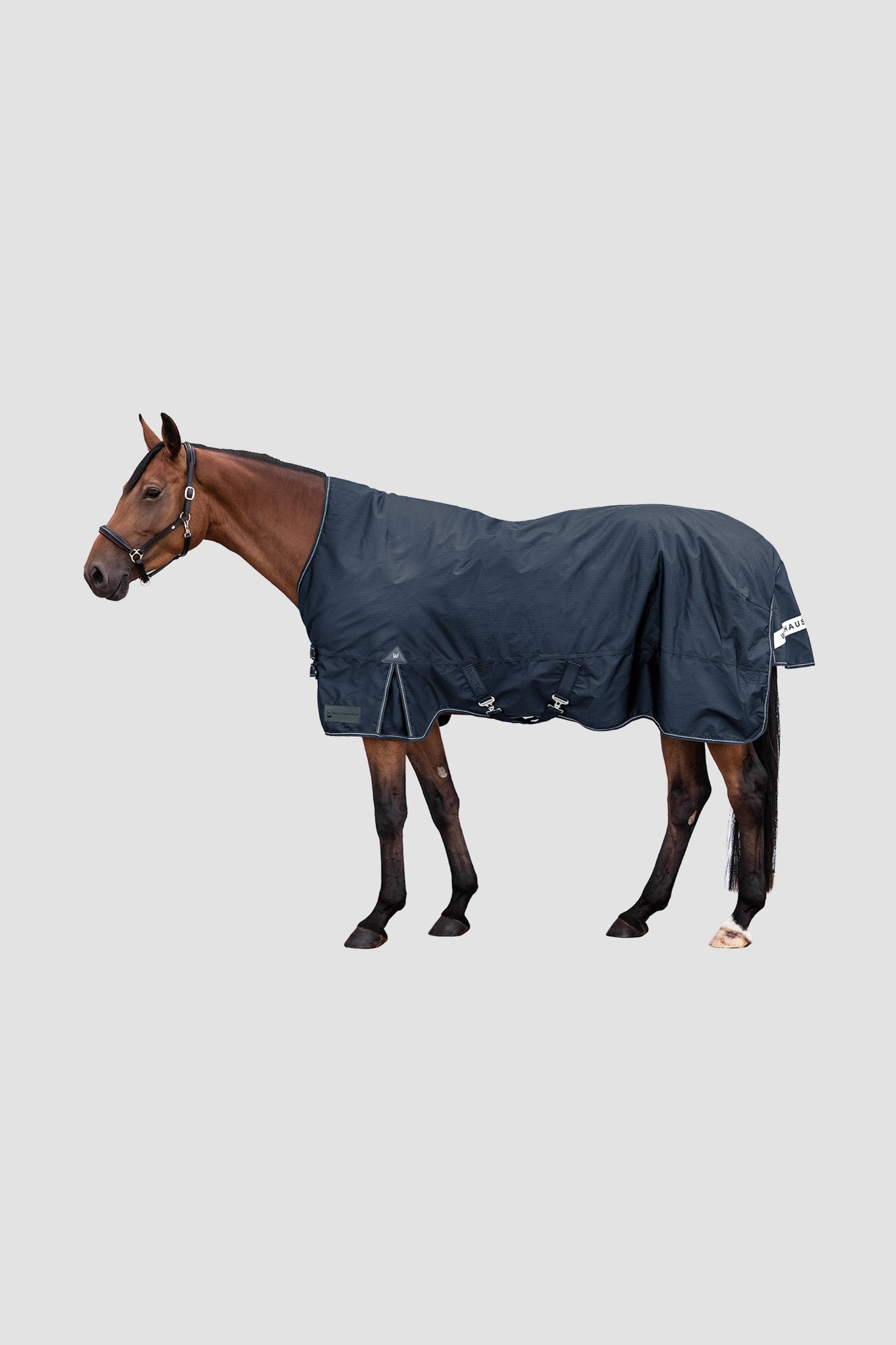 Waldhausen Arctic Outdoor Rug With High Neck, 100 g Couvertures cheval