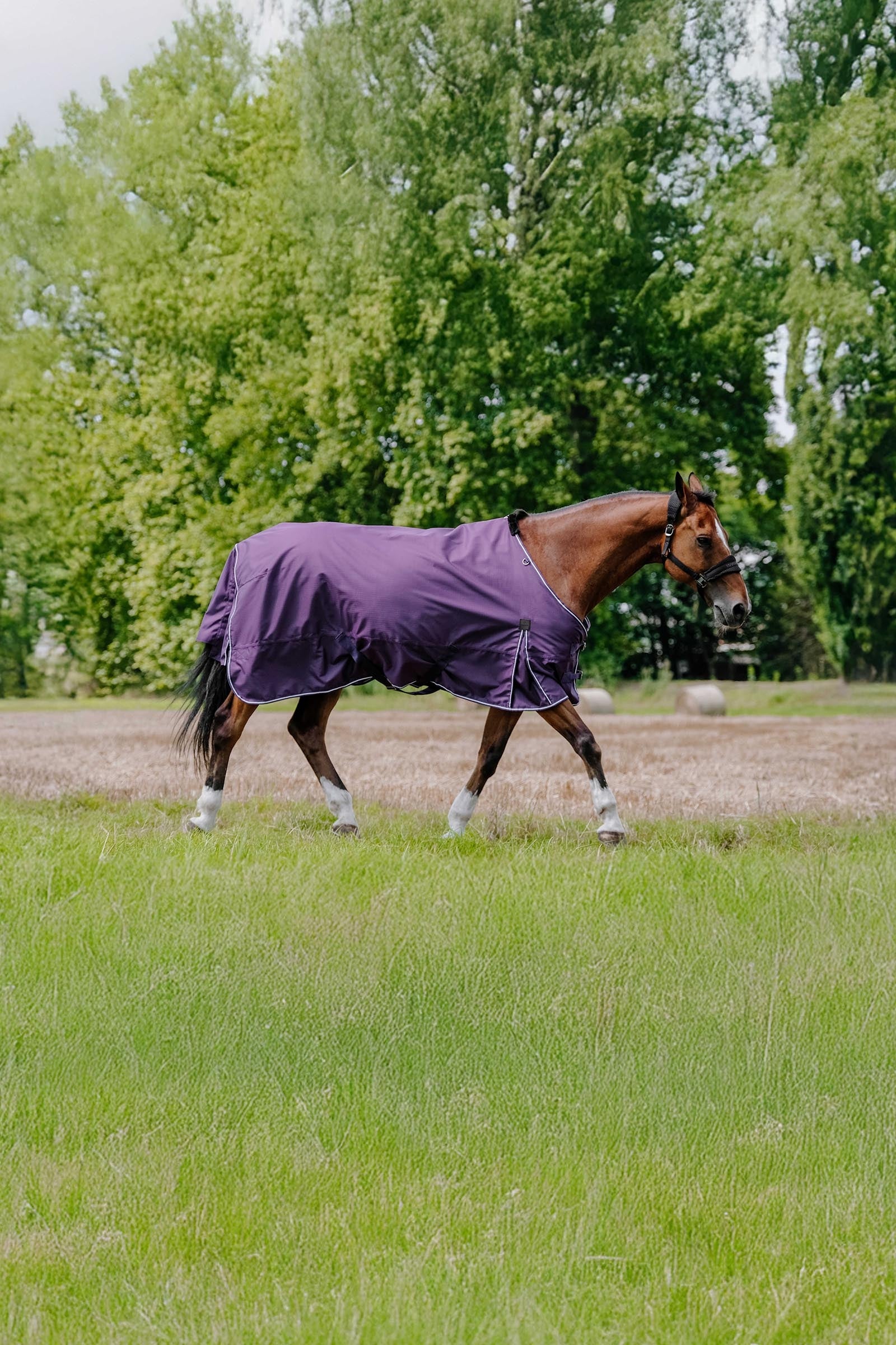 Equi Theme EQUITHÈME TYREX Aisance 600D Turnout Rug, 0 g Horse Rugs