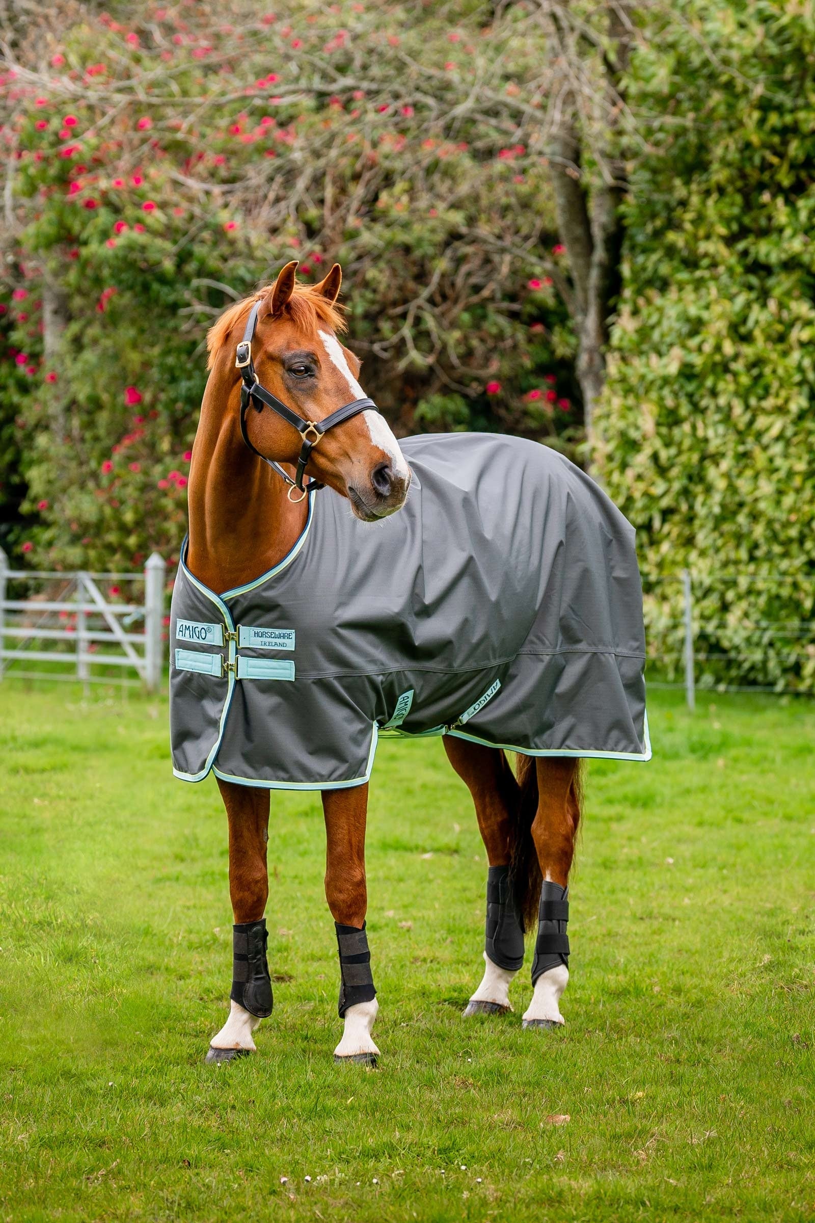 Horseware Amigo Hero Ripstop ulkoloimi fleecevuorella, 50g Couvertures cheval
