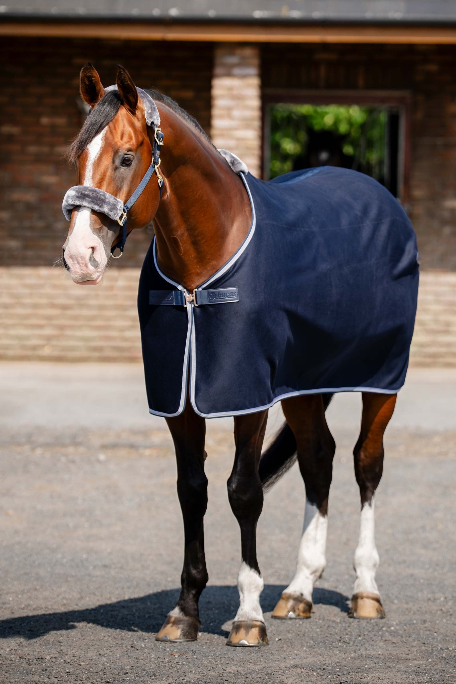 Bucas Emerald Wool Rug Couvertures cheval