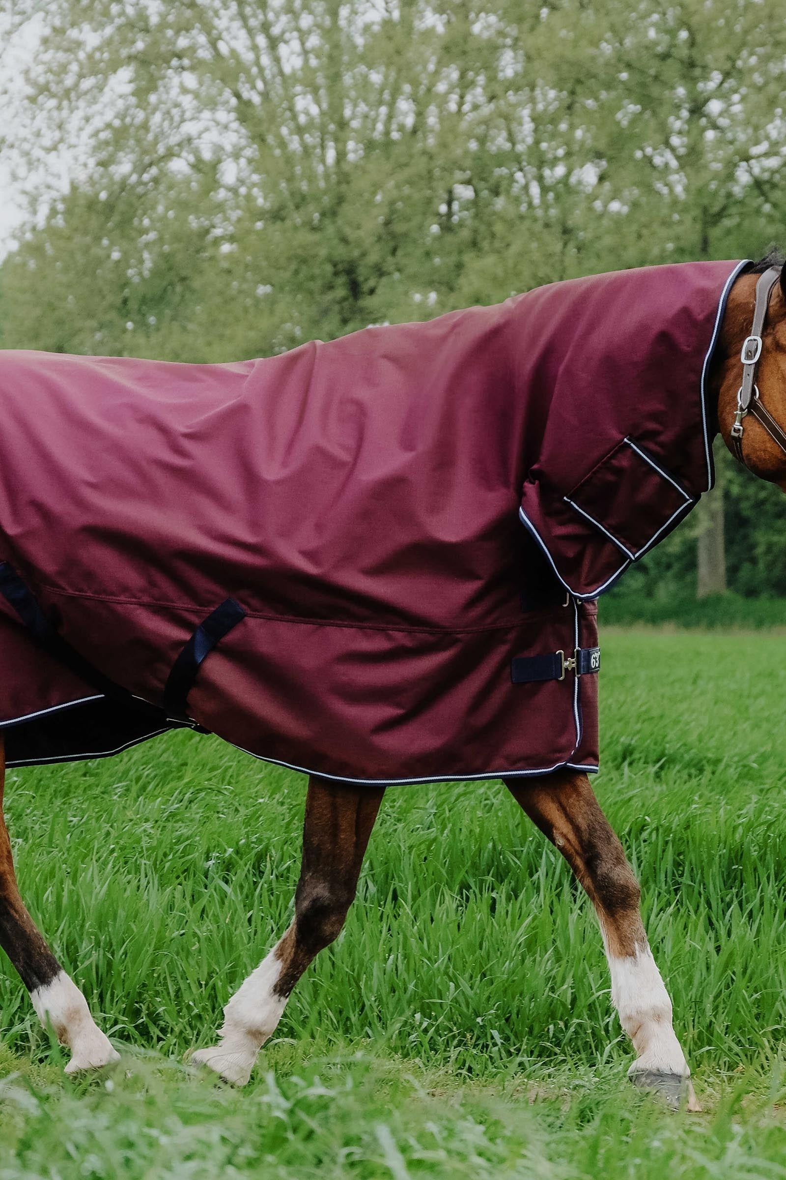 Equi Theme EQUITHÈME TYREX 1200D Combo Rug, 200 g Horse Rugs