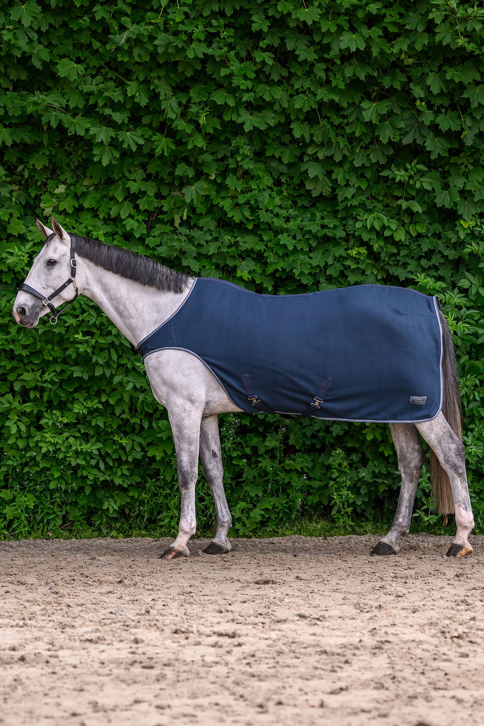 Waldhausen ECONOMIC couverture polaire walker Couvertures cheval