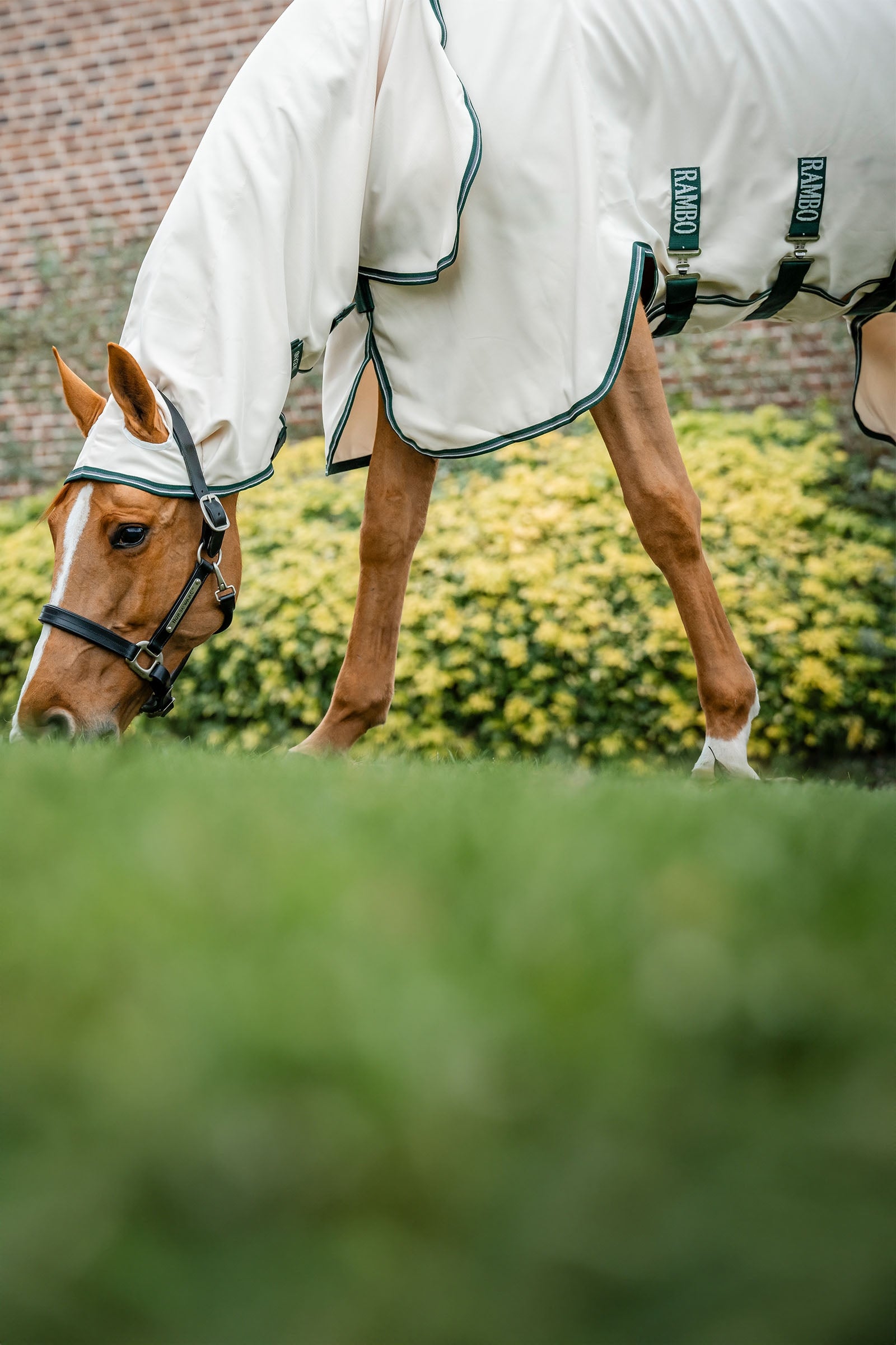 Horseware Rambo Hoody Horse Rugs