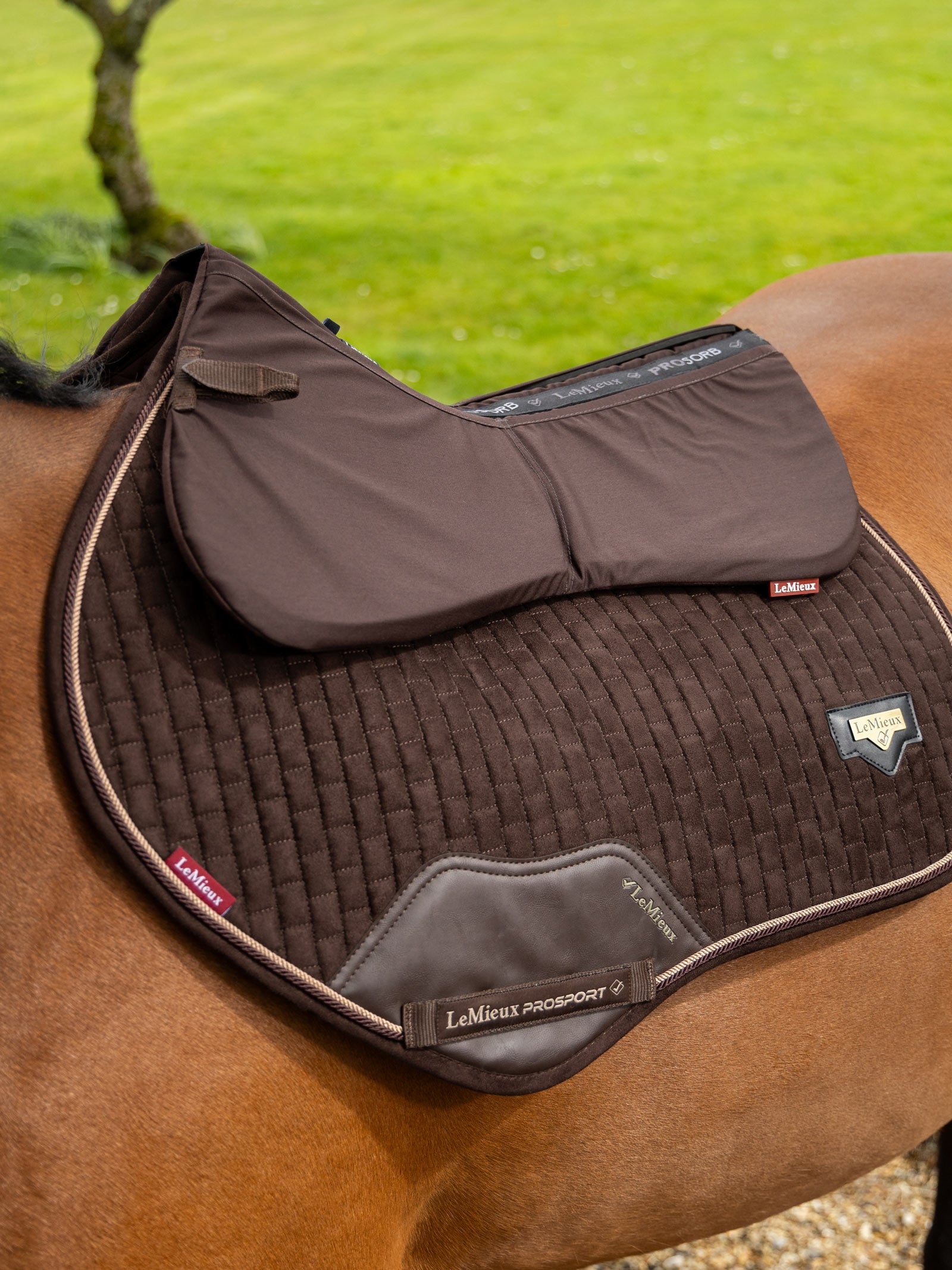 LeMieux Prosorb 2 Pocket Half Pad Saddle Pads