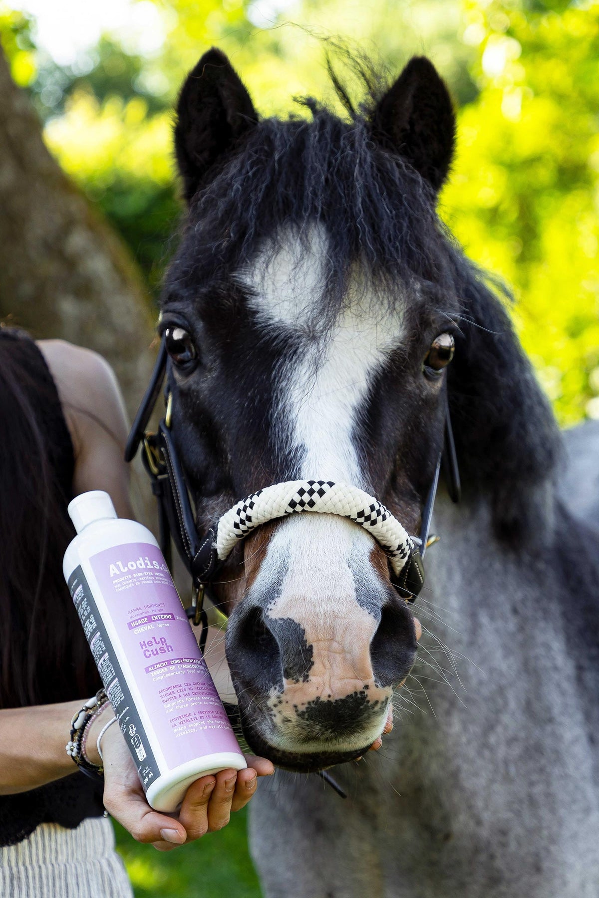 ALODIS CARE Complementary Feed  Help Cush, 500 ml Horse Feed & Nutrition