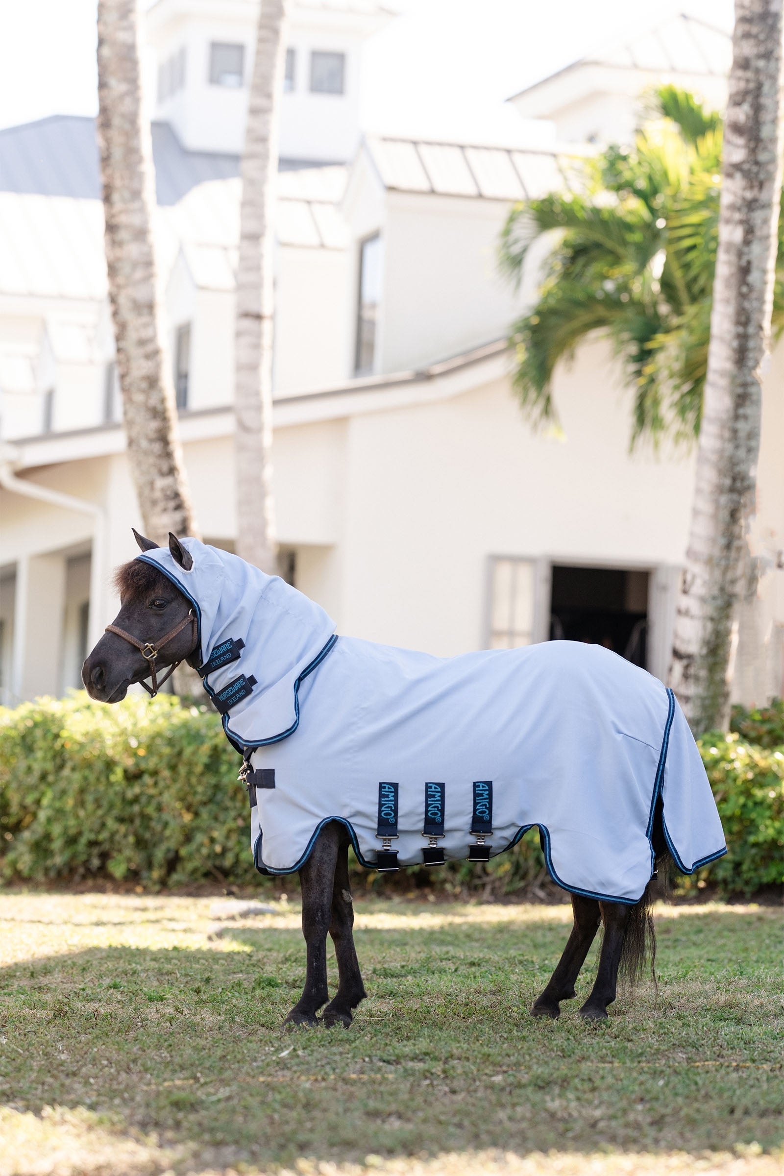 Horseware Amigo Ripstop Petite Hoody Horse Rugs