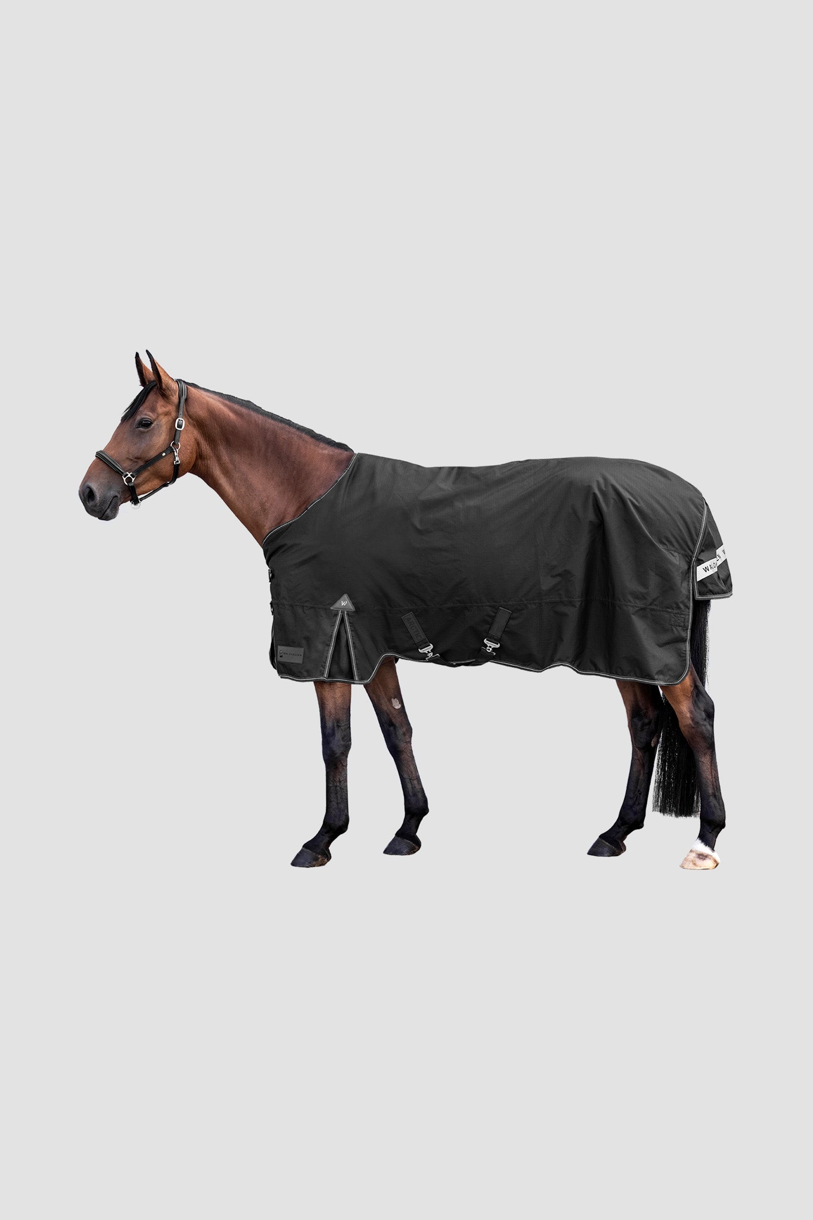 Waldhausen Outdoor Rug Arctic Light Couvertures cheval