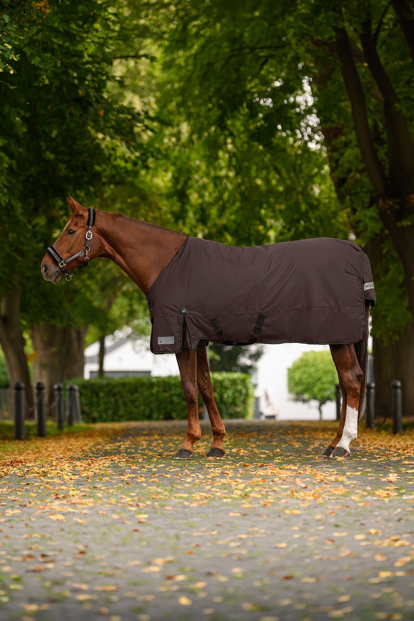 Waldhausen ARCTIC Outdoor Rug Light Horse Rugs